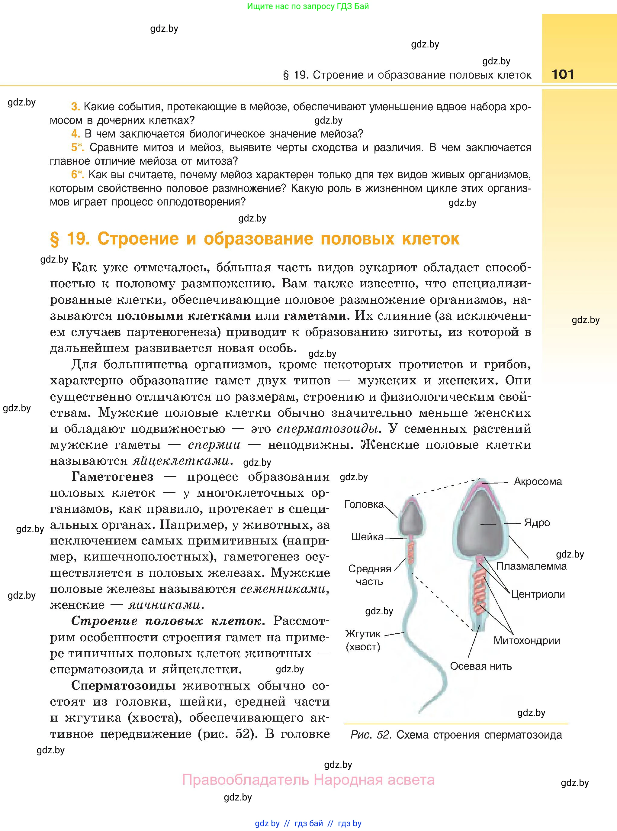 Биология, 11 класс Учебник, авторы: Дашков Максим Леонидович, Песнякевич Александр Георгиевич, Головач Алексей Михайлович, издательство Народная асвета, Минск, 2021, голубого цвета, страница 101