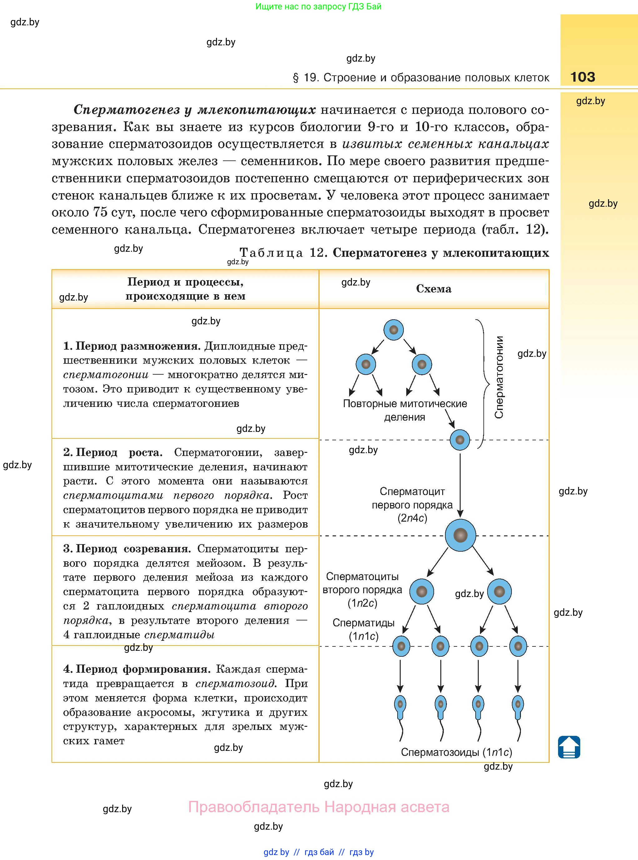 Биология, 11 класс Учебник, авторы: Дашков Максим Леонидович, Песнякевич Александр Георгиевич, Головач Алексей Михайлович, издательство Народная асвета, Минск, 2021, голубого цвета, страница 103