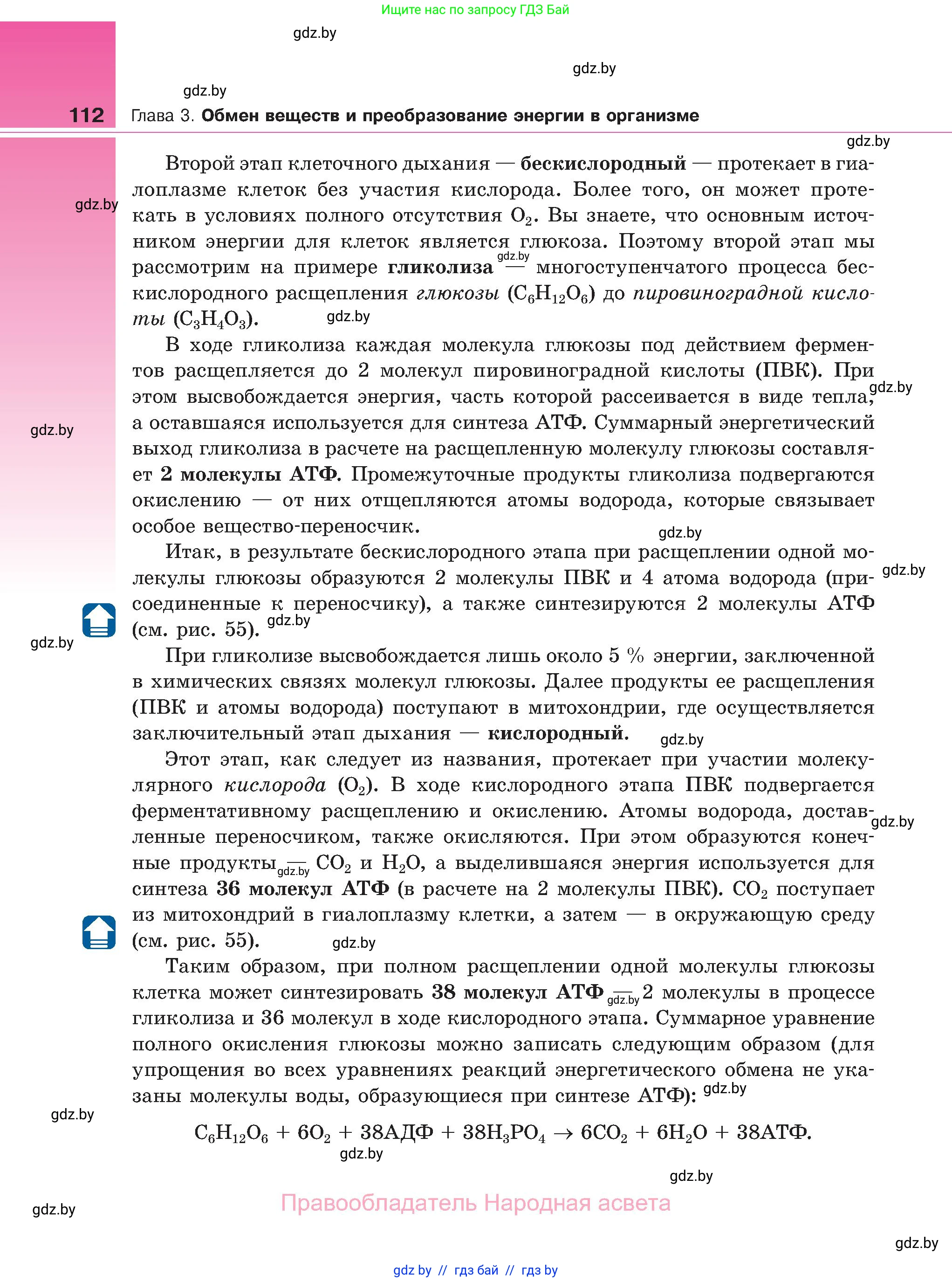 Биология, 11 класс Учебник, авторы: Дашков Максим Леонидович, Песнякевич Александр Георгиевич, Головач Алексей Михайлович, издательство Народная асвета, Минск, 2021, голубого цвета, страница 112