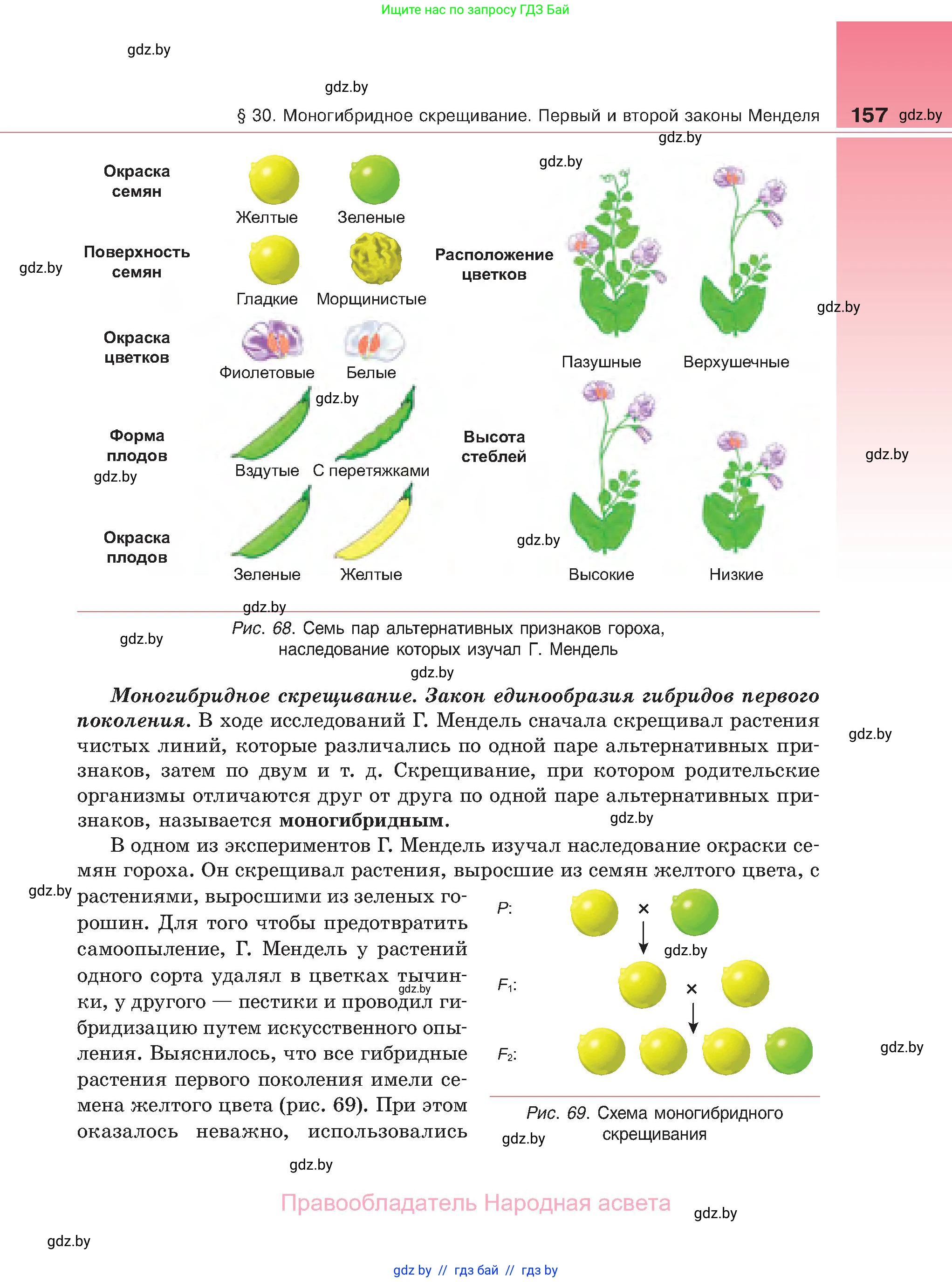 Биология, 11 класс Учебник, авторы: Дашков Максим Леонидович, Песнякевич Александр Георгиевич, Головач Алексей Михайлович, издательство Народная асвета, Минск, 2021, голубого цвета, страница 157