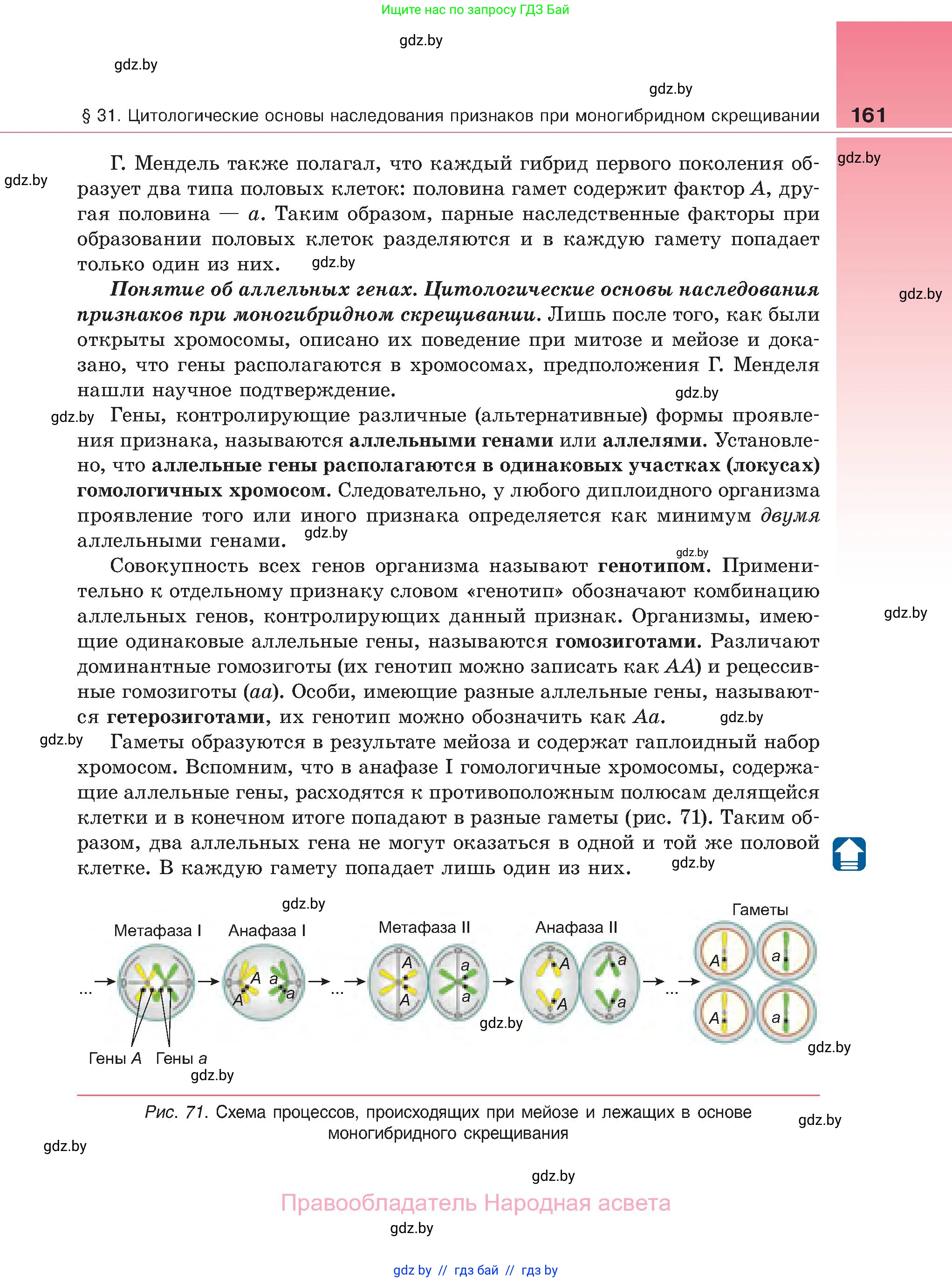 Биология, 11 класс Учебник, авторы: Дашков Максим Леонидович, Песнякевич Александр Георгиевич, Головач Алексей Михайлович, издательство Народная асвета, Минск, 2021, голубого цвета, страница 161
