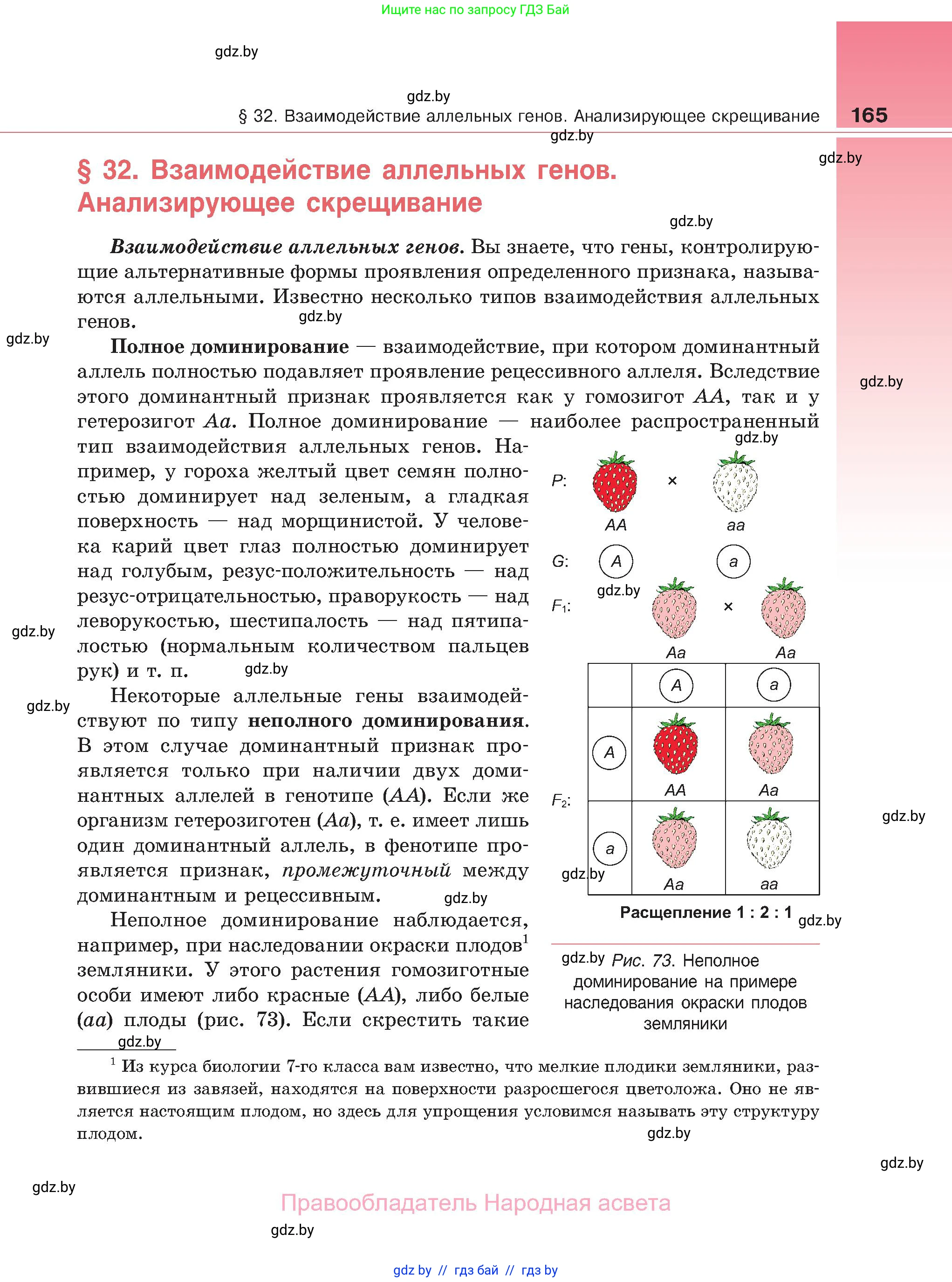 Биология, 11 класс Учебник, авторы: Дашков Максим Леонидович, Песнякевич Александр Георгиевич, Головач Алексей Михайлович, издательство Народная асвета, Минск, 2021, голубого цвета, страница 165
