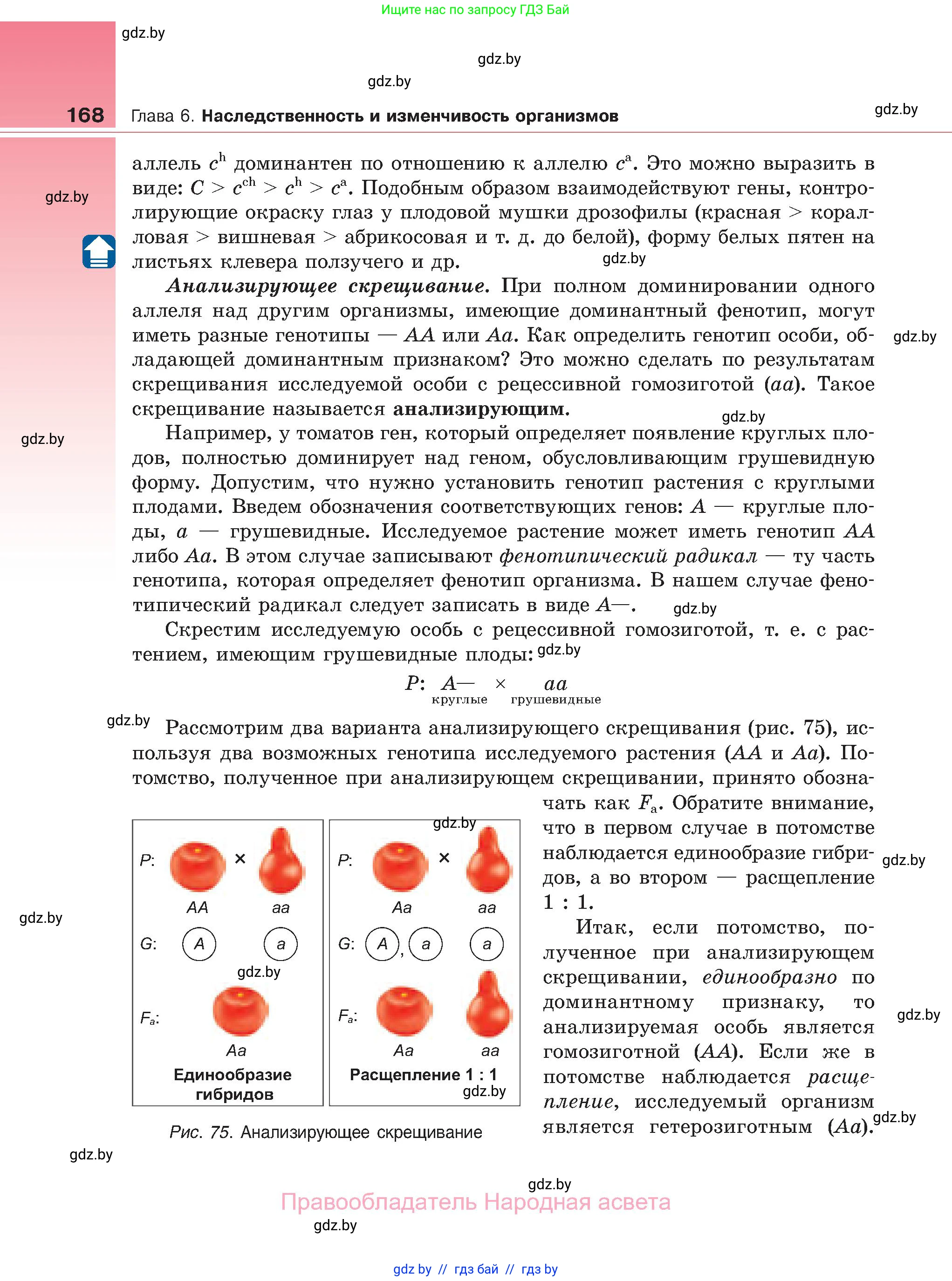 Биология, 11 класс Учебник, авторы: Дашков Максим Леонидович, Песнякевич Александр Георгиевич, Головач Алексей Михайлович, издательство Народная асвета, Минск, 2021, голубого цвета, страница 168