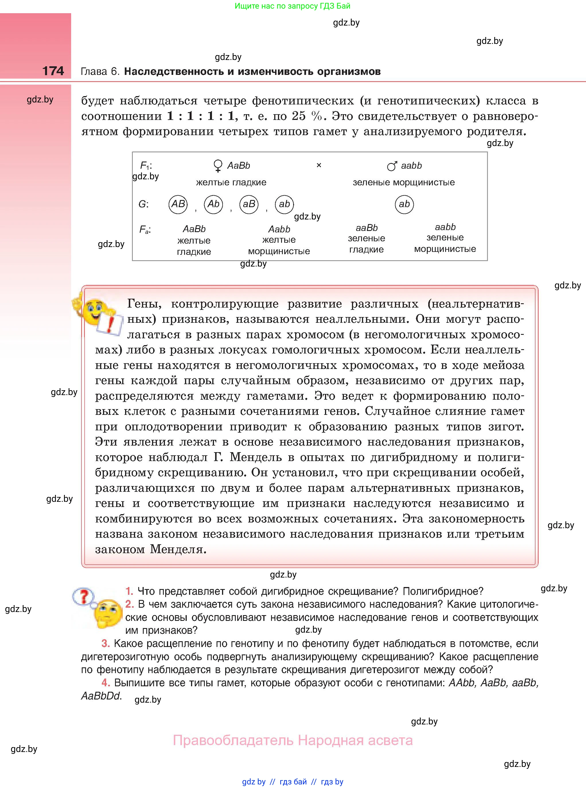 Биология, 11 класс Учебник, авторы: Дашков Максим Леонидович, Песнякевич Александр Георгиевич, Головач Алексей Михайлович, издательство Народная асвета, Минск, 2021, голубого цвета, страница 174