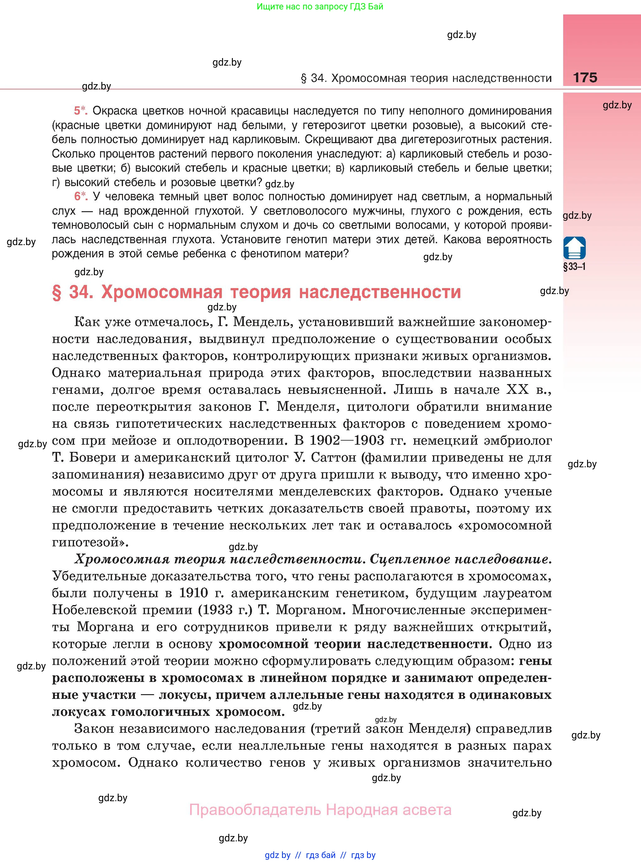Биология, 11 класс Учебник, авторы: Дашков Максим Леонидович, Песнякевич Александр Георгиевич, Головач Алексей Михайлович, издательство Народная асвета, Минск, 2021, голубого цвета, страница 175