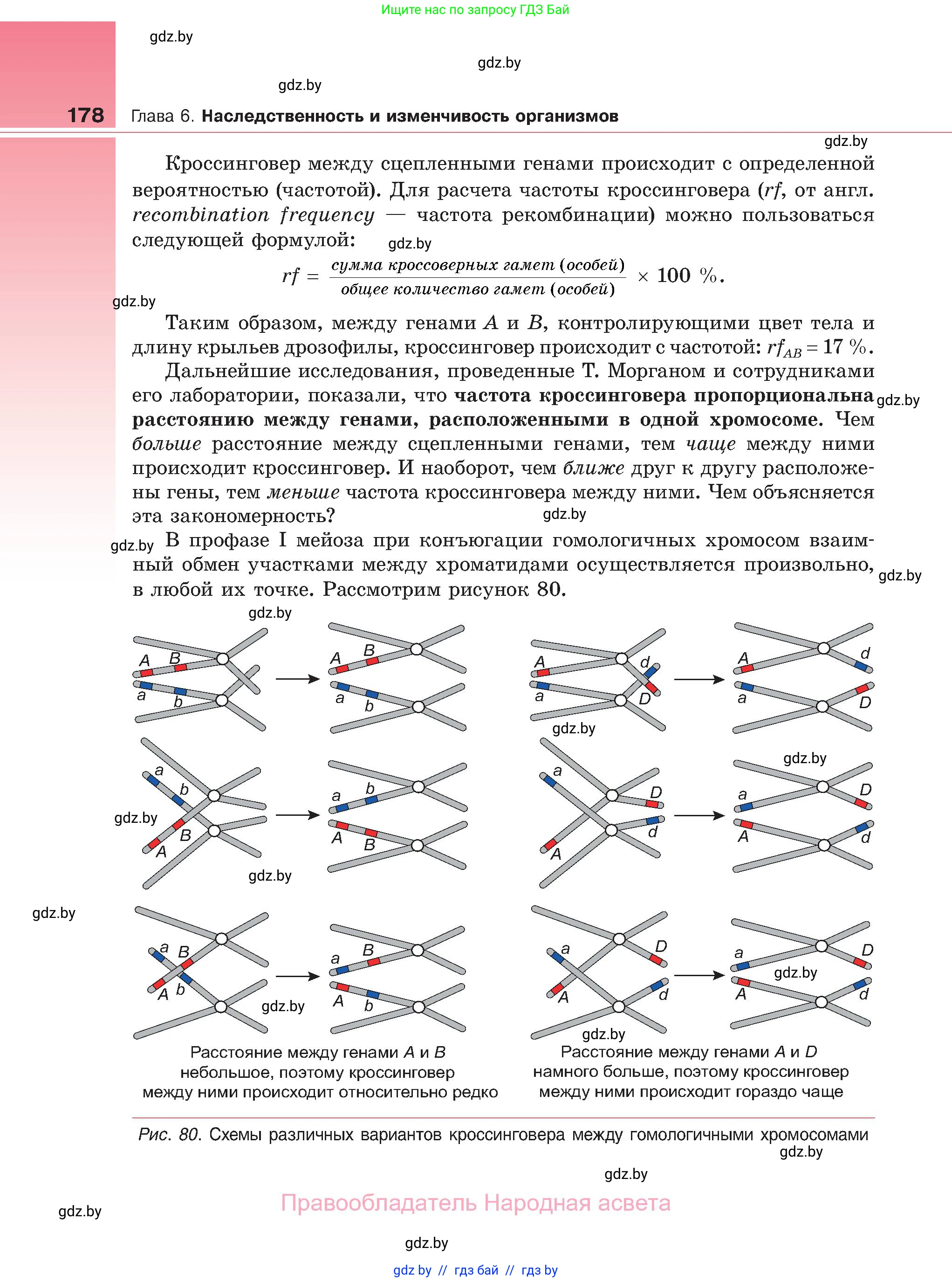 Биология, 11 класс Учебник, авторы: Дашков Максим Леонидович, Песнякевич Александр Георгиевич, Головач Алексей Михайлович, издательство Народная асвета, Минск, 2021, голубого цвета, страница 178