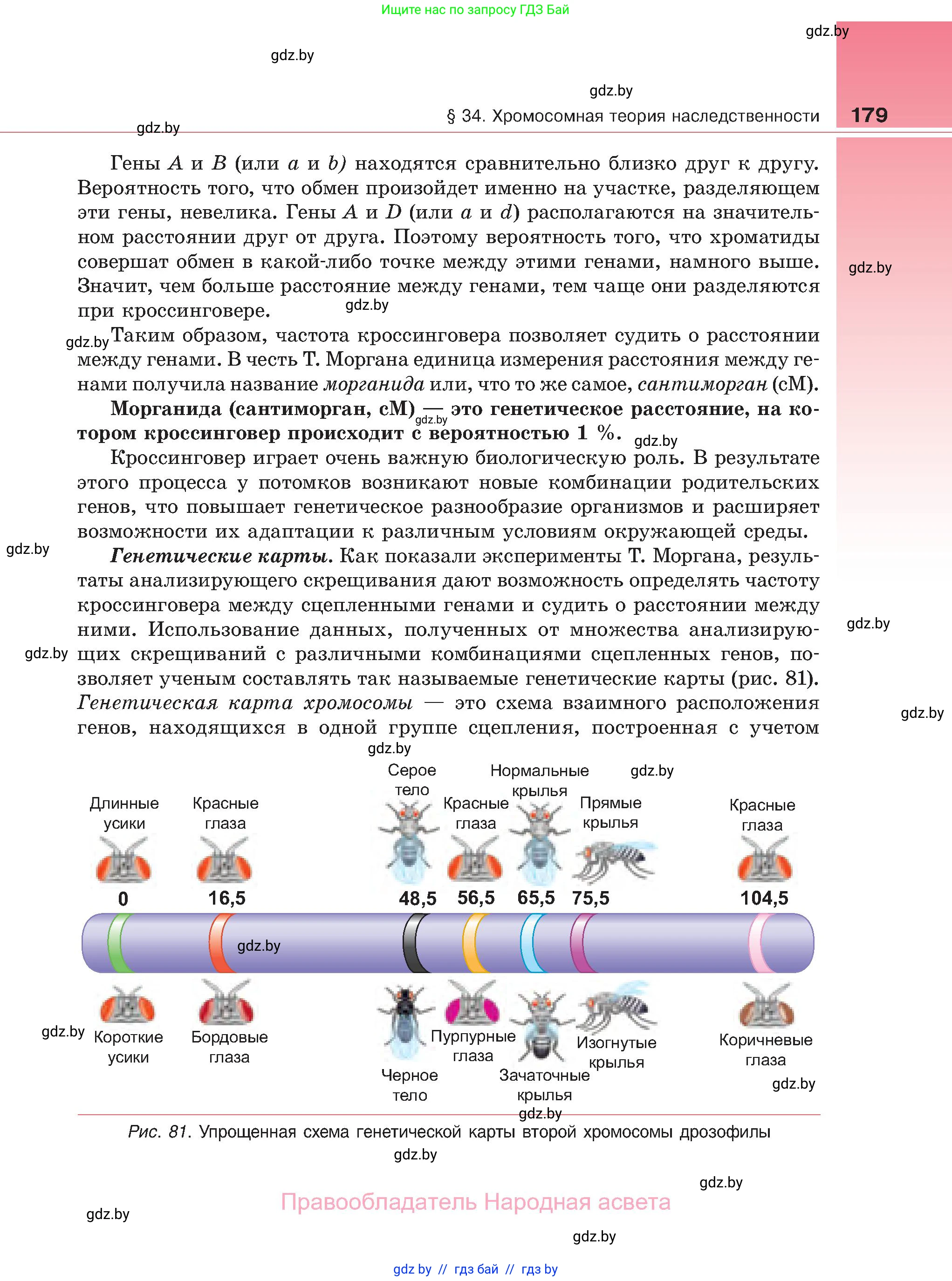 Биология, 11 класс Учебник, авторы: Дашков Максим Леонидович, Песнякевич Александр Георгиевич, Головач Алексей Михайлович, издательство Народная асвета, Минск, 2021, голубого цвета, страница 179