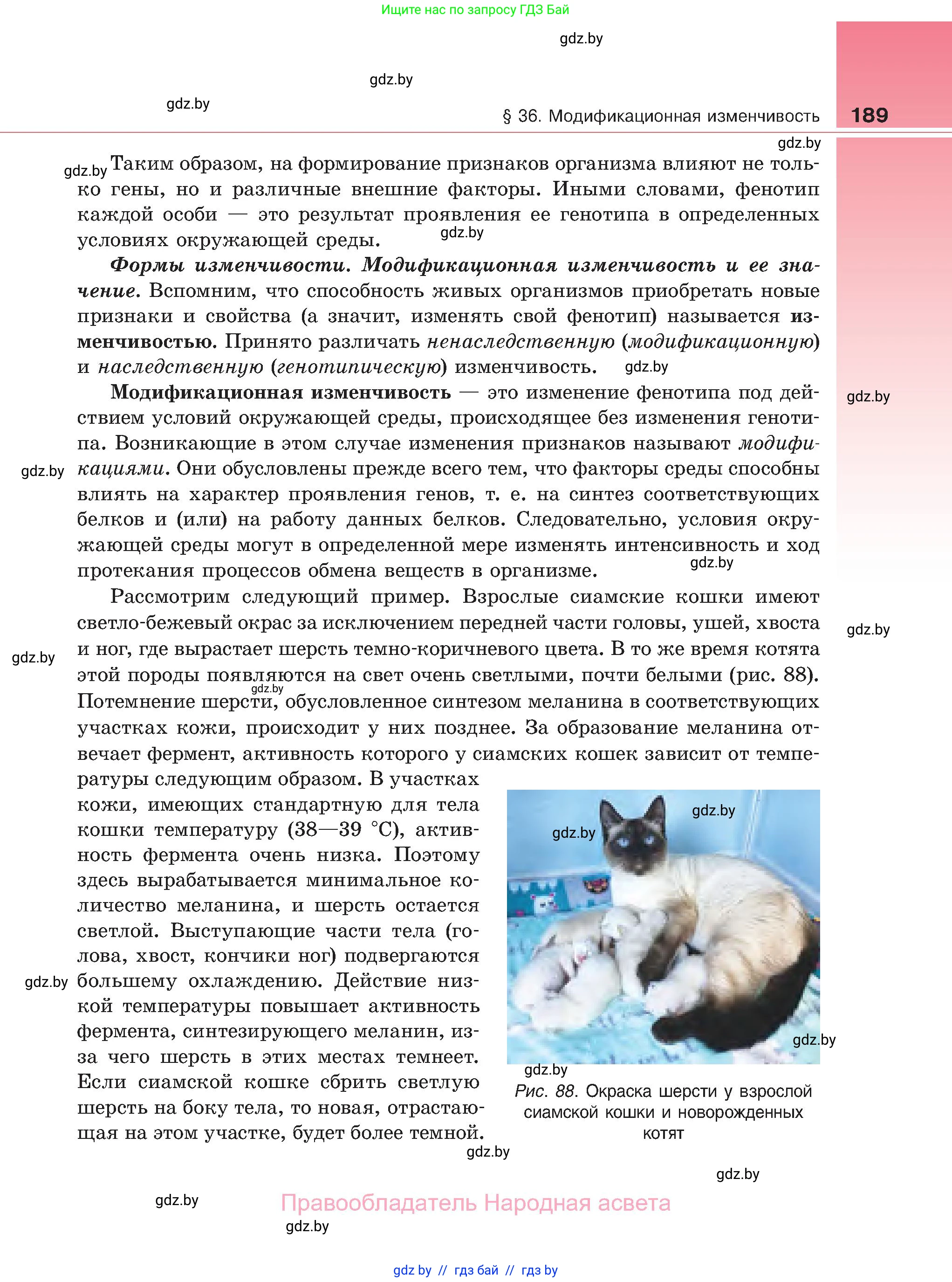 Биология, 11 класс Учебник, авторы: Дашков Максим Леонидович, Песнякевич Александр Георгиевич, Головач Алексей Михайлович, издательство Народная асвета, Минск, 2021, голубого цвета, страница 189