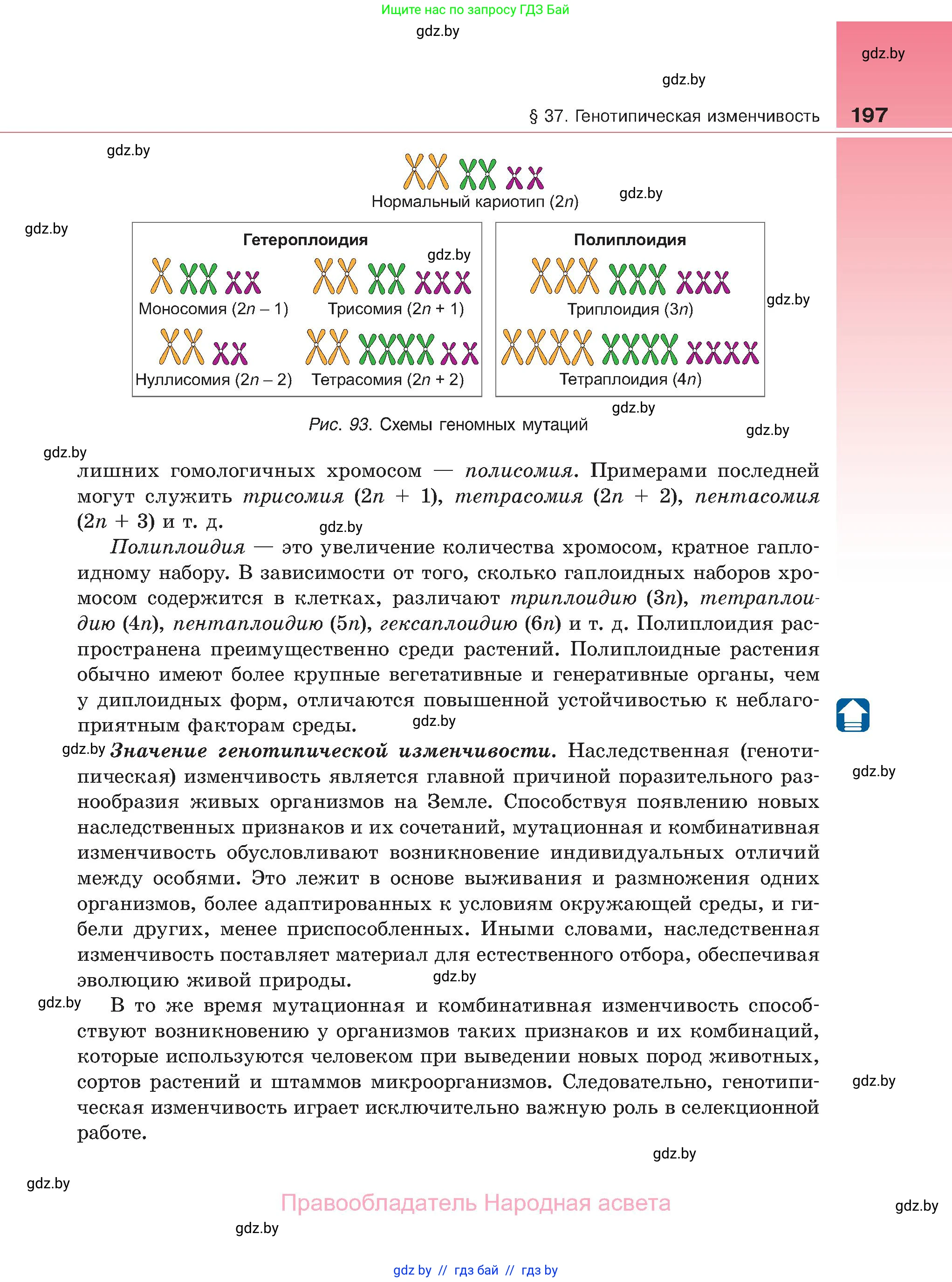 Биология, 11 класс Учебник, авторы: Дашков Максим Леонидович, Песнякевич Александр Георгиевич, Головач Алексей Михайлович, издательство Народная асвета, Минск, 2021, голубого цвета, страница 197
