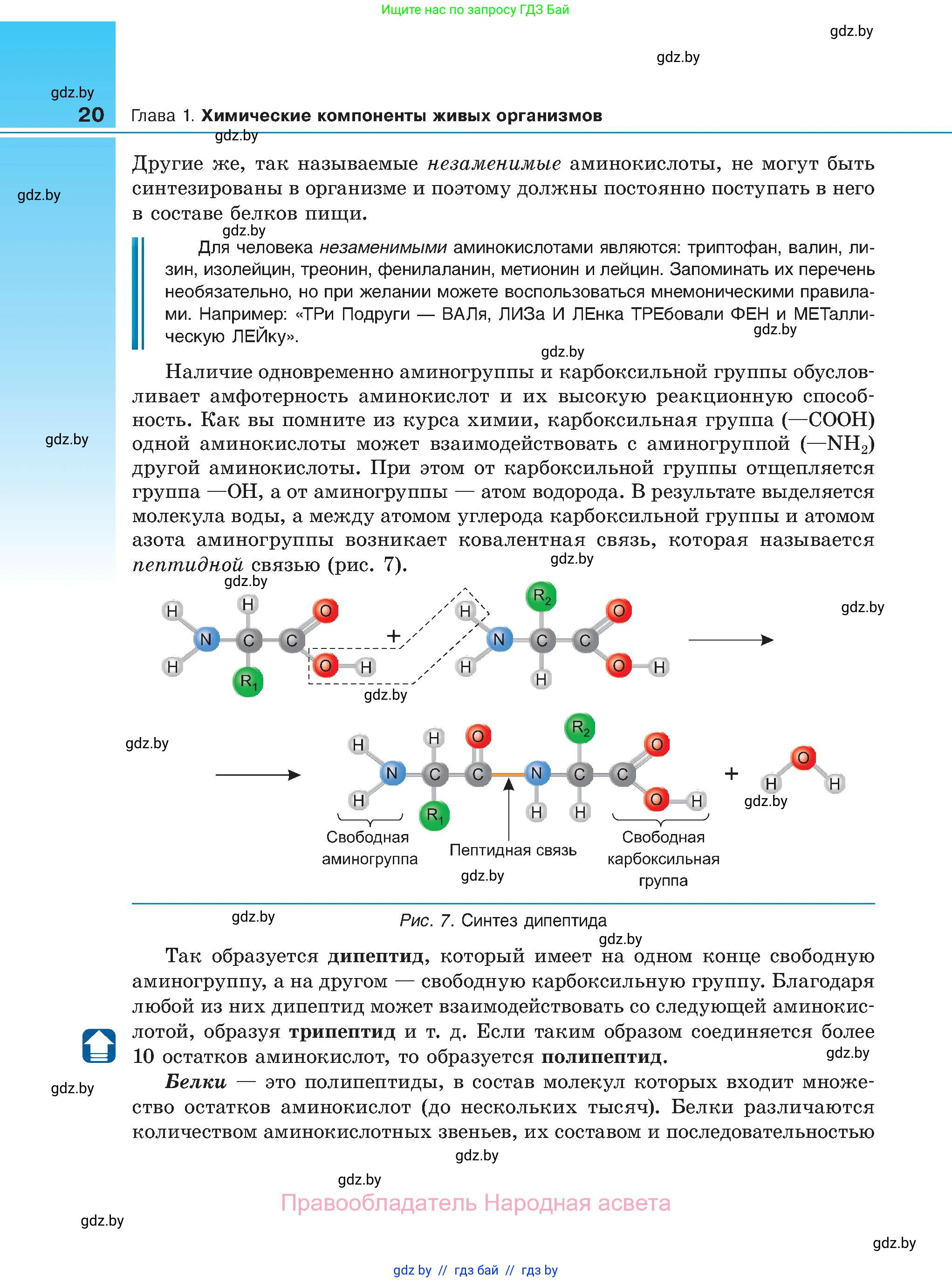 Биология, 11 класс Учебник, авторы: Дашков Максим Леонидович, Песнякевич Александр Георгиевич, Головач Алексей Михайлович, издательство Народная асвета, Минск, 2021, голубого цвета, страница 20