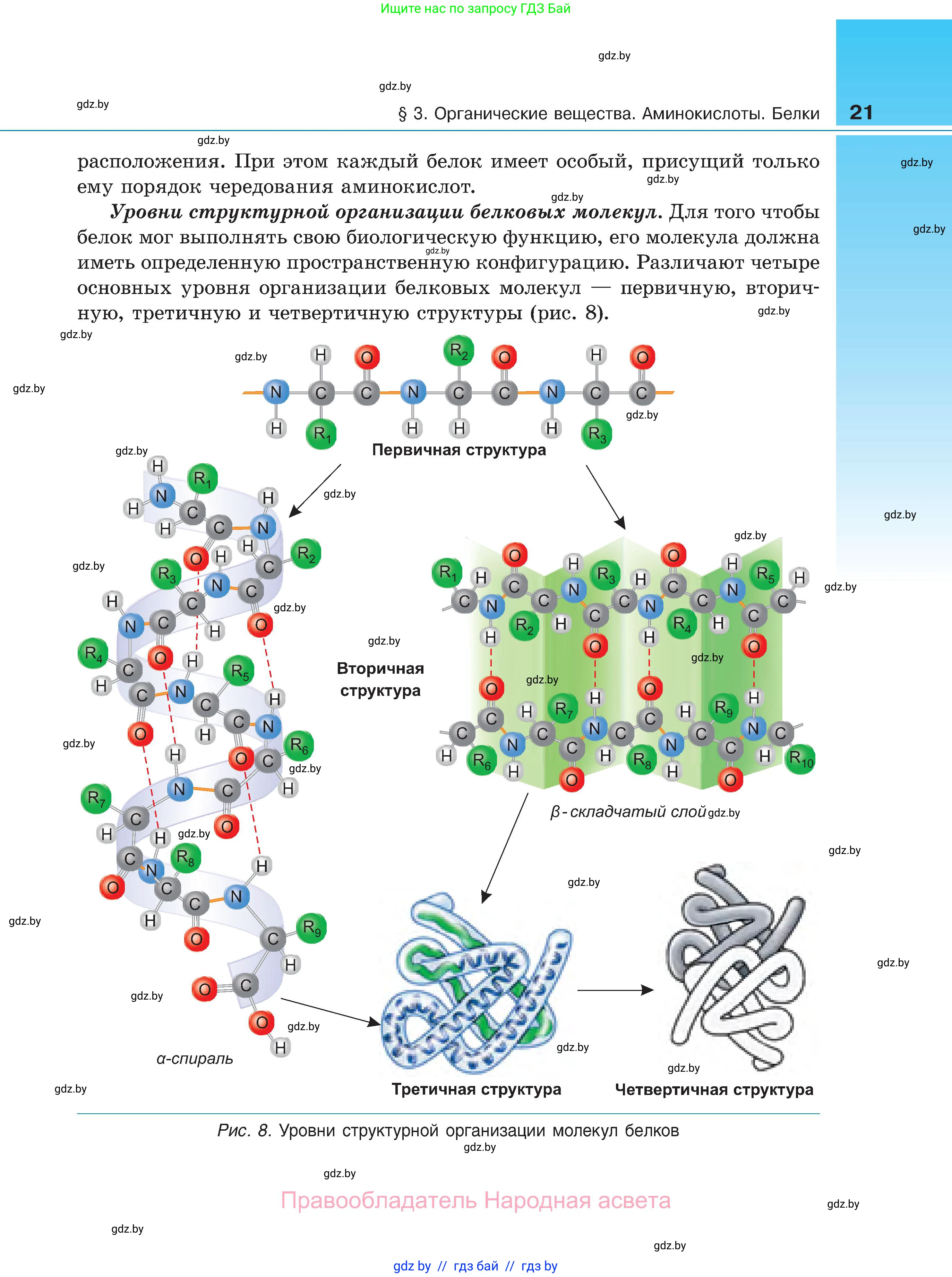 Биология, 11 класс Учебник, авторы: Дашков Максим Леонидович, Песнякевич Александр Георгиевич, Головач Алексей Михайлович, издательство Народная асвета, Минск, 2021, голубого цвета, страница 21