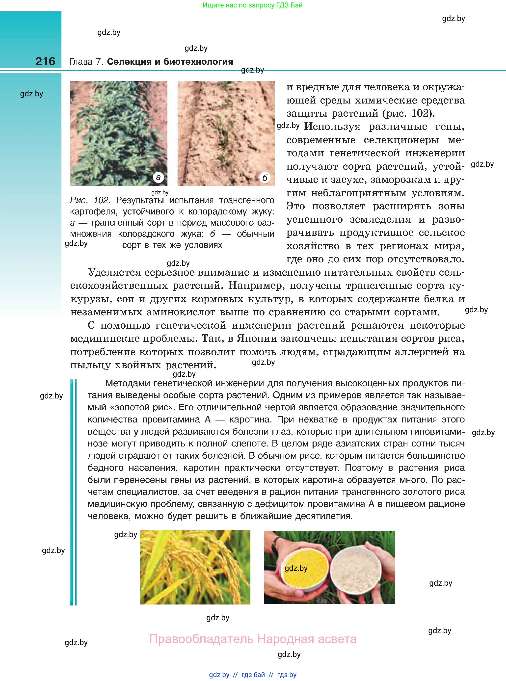 Биология, 11 класс Учебник, авторы: Дашков Максим Леонидович, Песнякевич Александр Георгиевич, Головач Алексей Михайлович, издательство Народная асвета, Минск, 2021, голубого цвета, страница 216