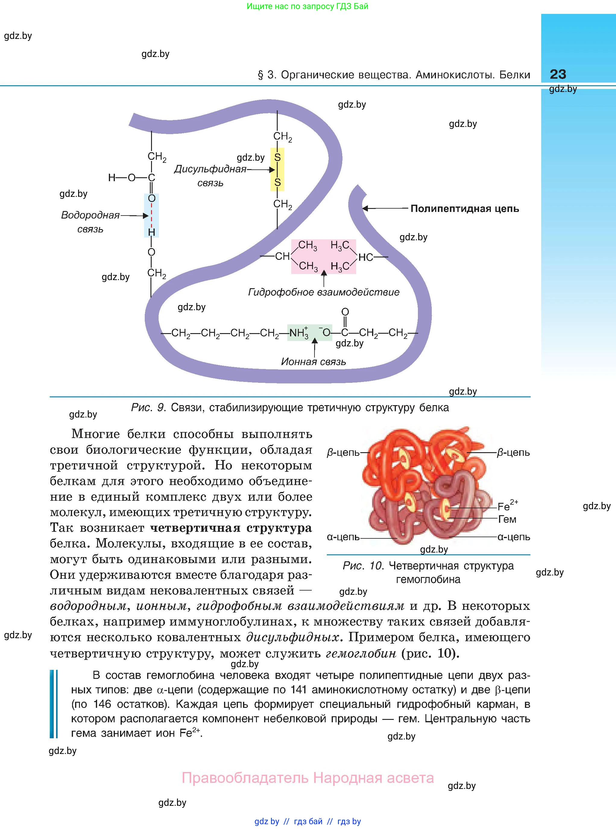 Биология, 11 класс Учебник, авторы: Дашков Максим Леонидович, Песнякевич Александр Георгиевич, Головач Алексей Михайлович, издательство Народная асвета, Минск, 2021, голубого цвета, страница 23