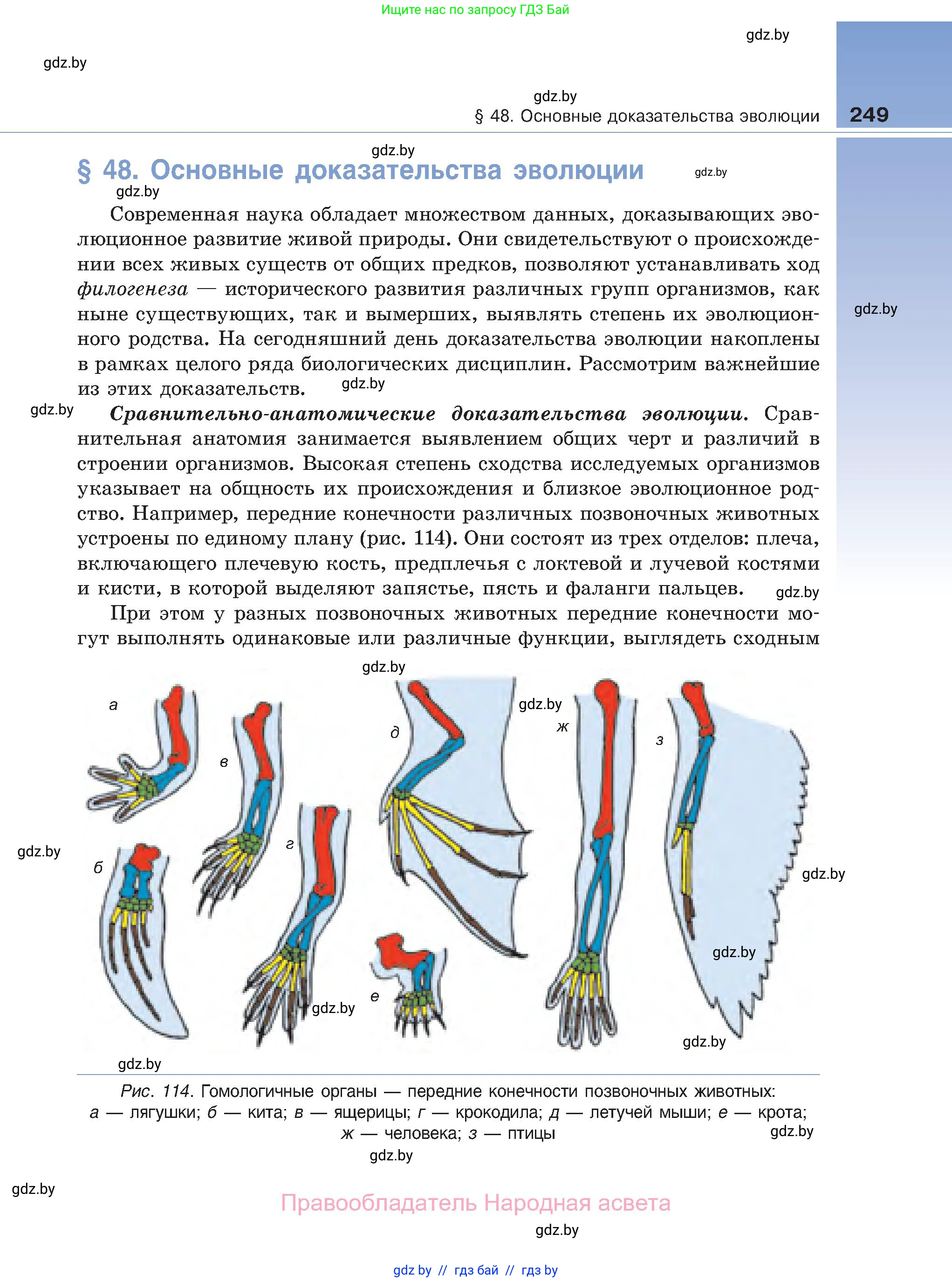 Биология, 11 класс Учебник, авторы: Дашков Максим Леонидович, Песнякевич Александр Георгиевич, Головач Алексей Михайлович, издательство Народная асвета, Минск, 2021, голубого цвета, страница 249