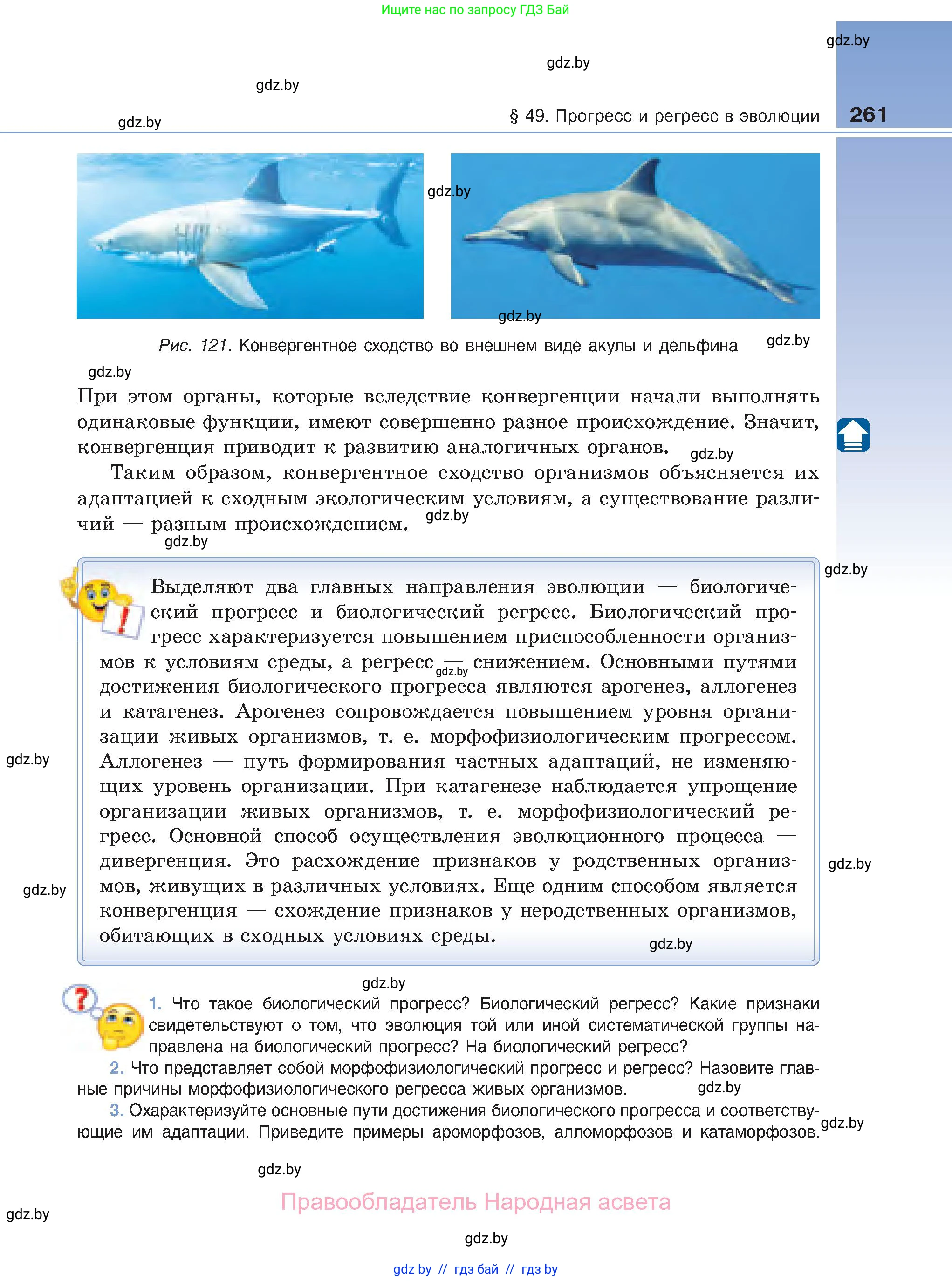 Биология, 11 класс Учебник, авторы: Дашков Максим Леонидович, Песнякевич Александр Георгиевич, Головач Алексей Михайлович, издательство Народная асвета, Минск, 2021, голубого цвета, страница 261