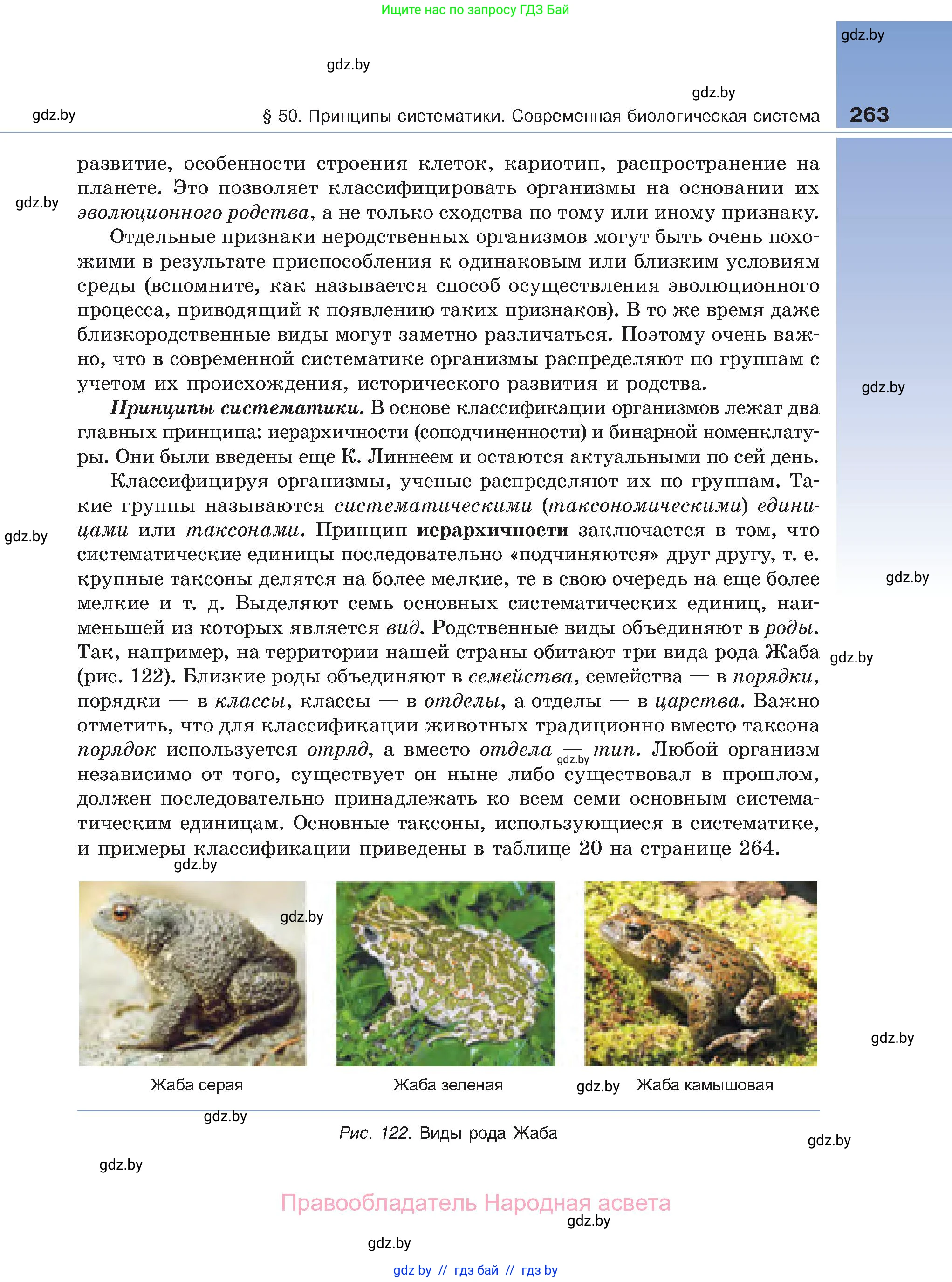 Биология, 11 класс Учебник, авторы: Дашков Максим Леонидович, Песнякевич Александр Георгиевич, Головач Алексей Михайлович, издательство Народная асвета, Минск, 2021, голубого цвета, страница 263