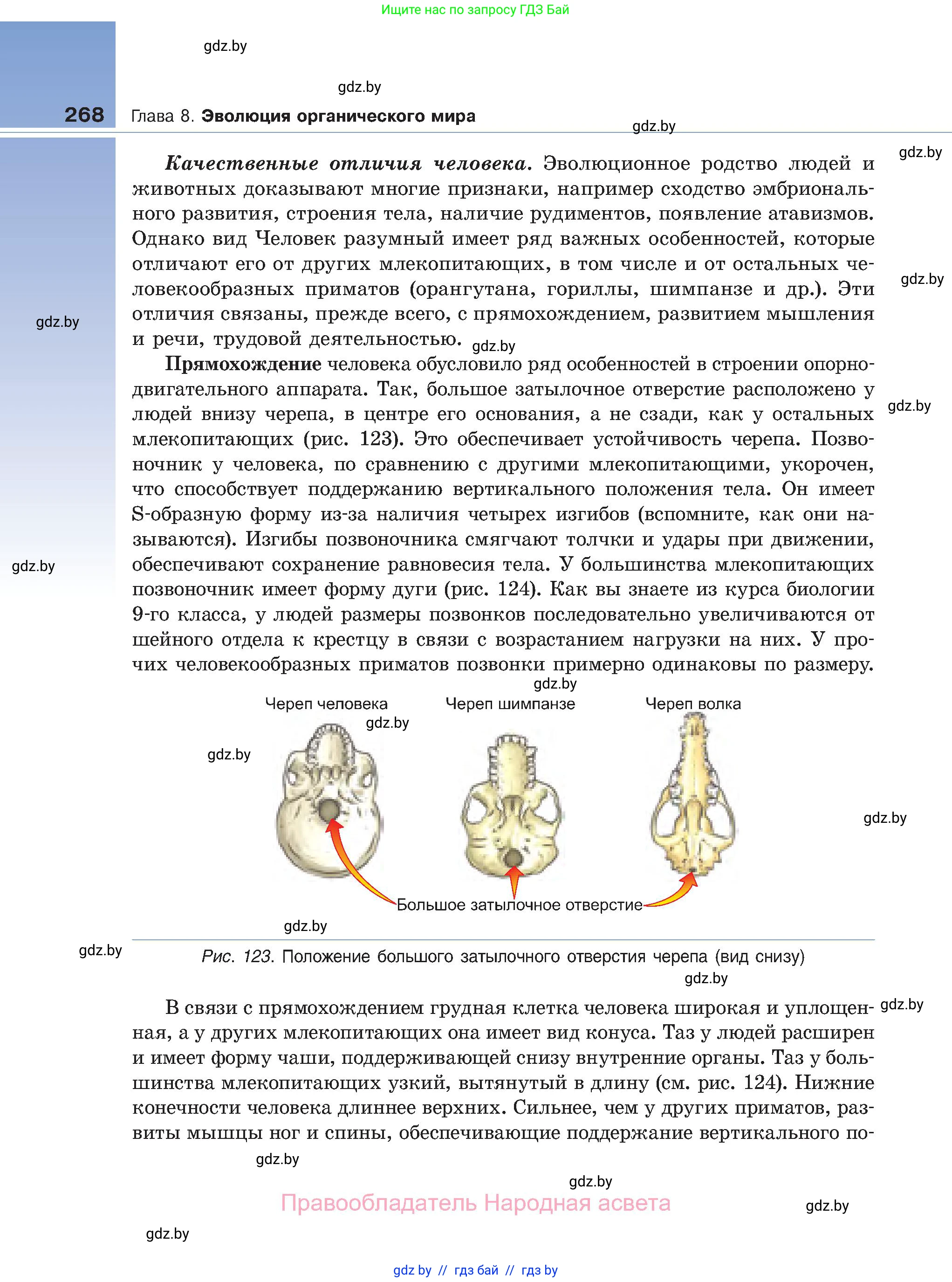 Биология, 11 класс Учебник, авторы: Дашков Максим Леонидович, Песнякевич Александр Георгиевич, Головач Алексей Михайлович, издательство Народная асвета, Минск, 2021, голубого цвета, страница 268