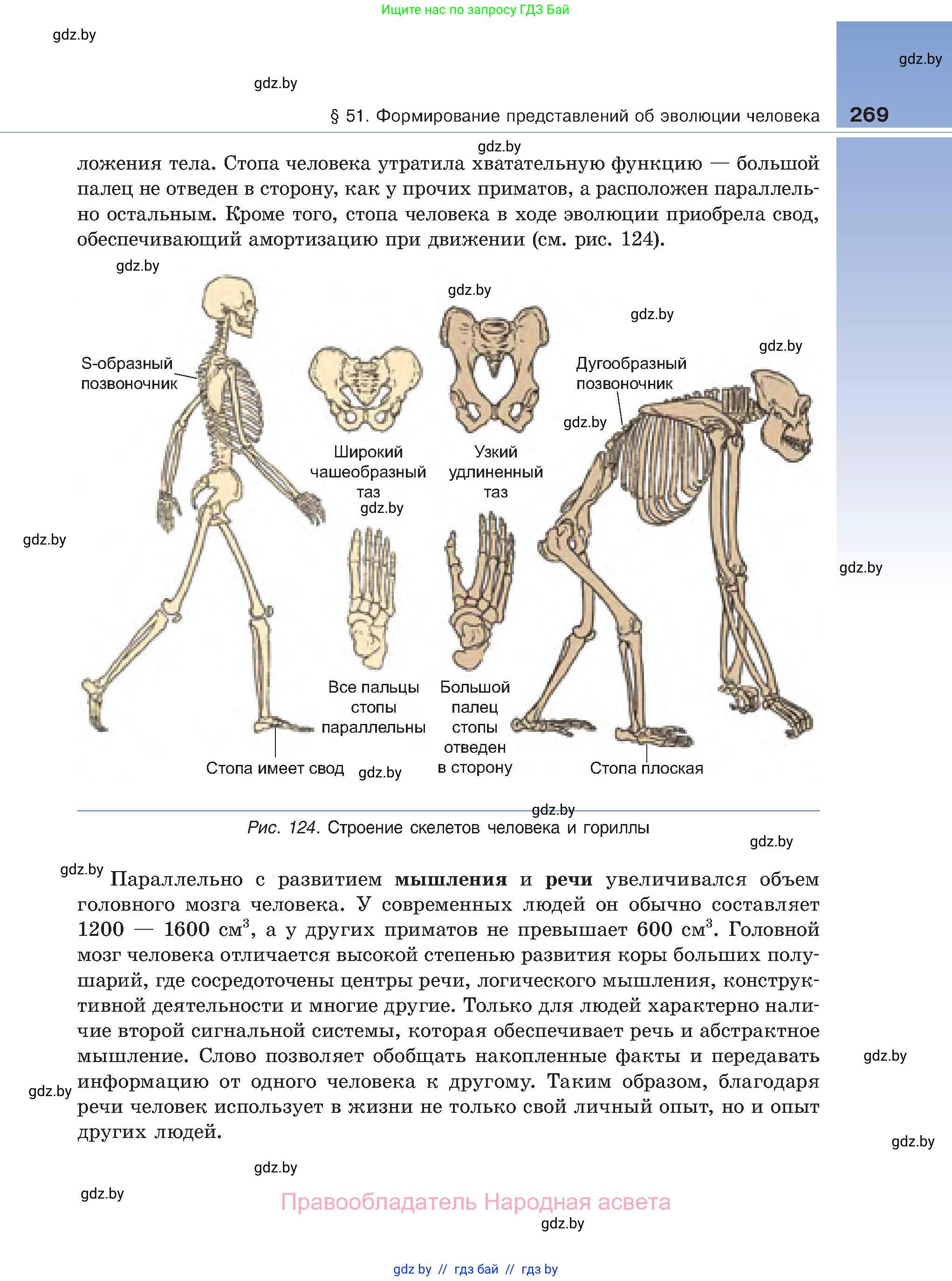 Биология, 11 класс Учебник, авторы: Дашков Максим Леонидович, Песнякевич Александр Георгиевич, Головач Алексей Михайлович, издательство Народная асвета, Минск, 2021, голубого цвета, страница 269
