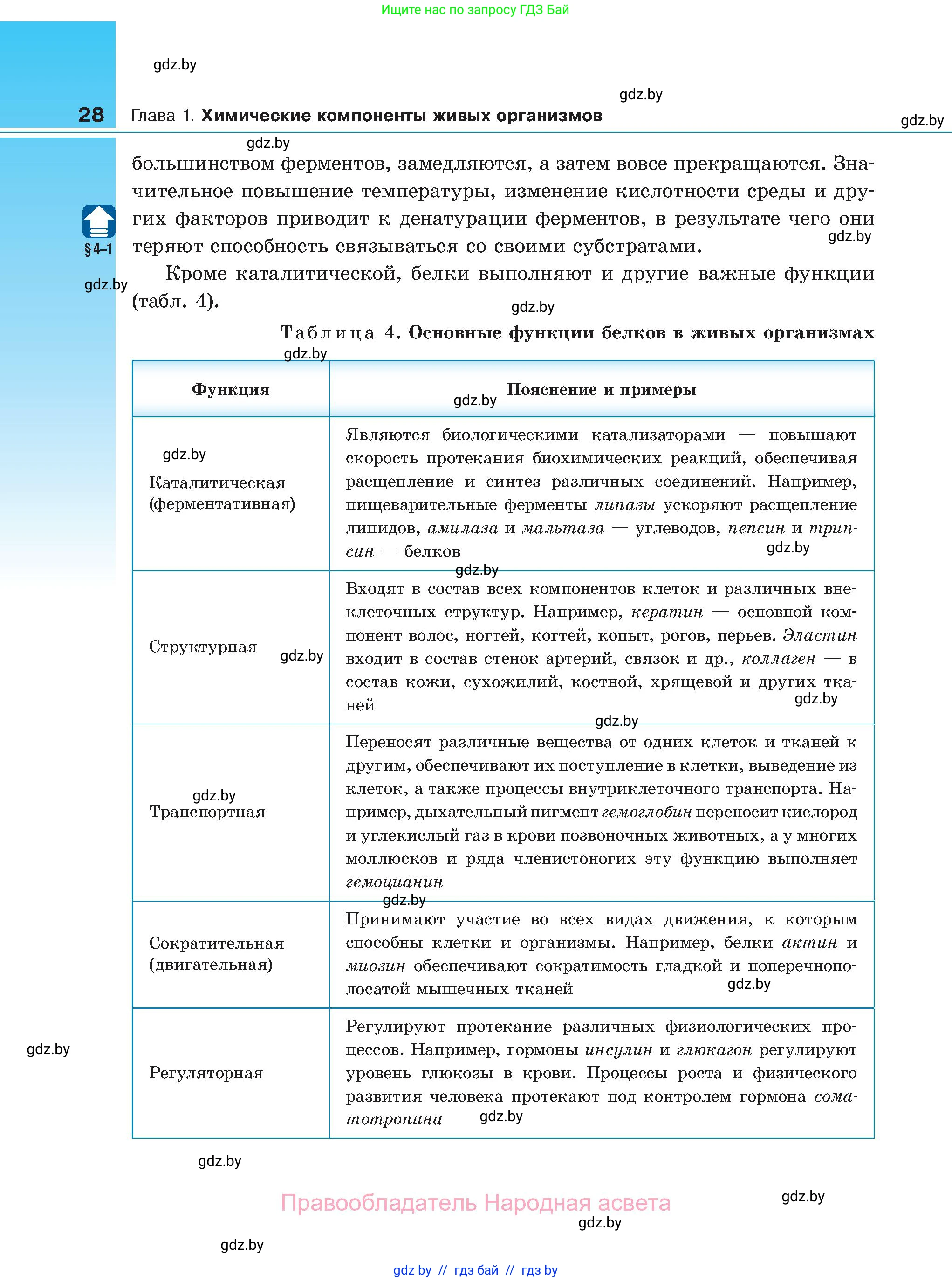 Биология, 11 класс Учебник, авторы: Дашков Максим Леонидович, Песнякевич Александр Георгиевич, Головач Алексей Михайлович, издательство Народная асвета, Минск, 2021, голубого цвета, страница 28