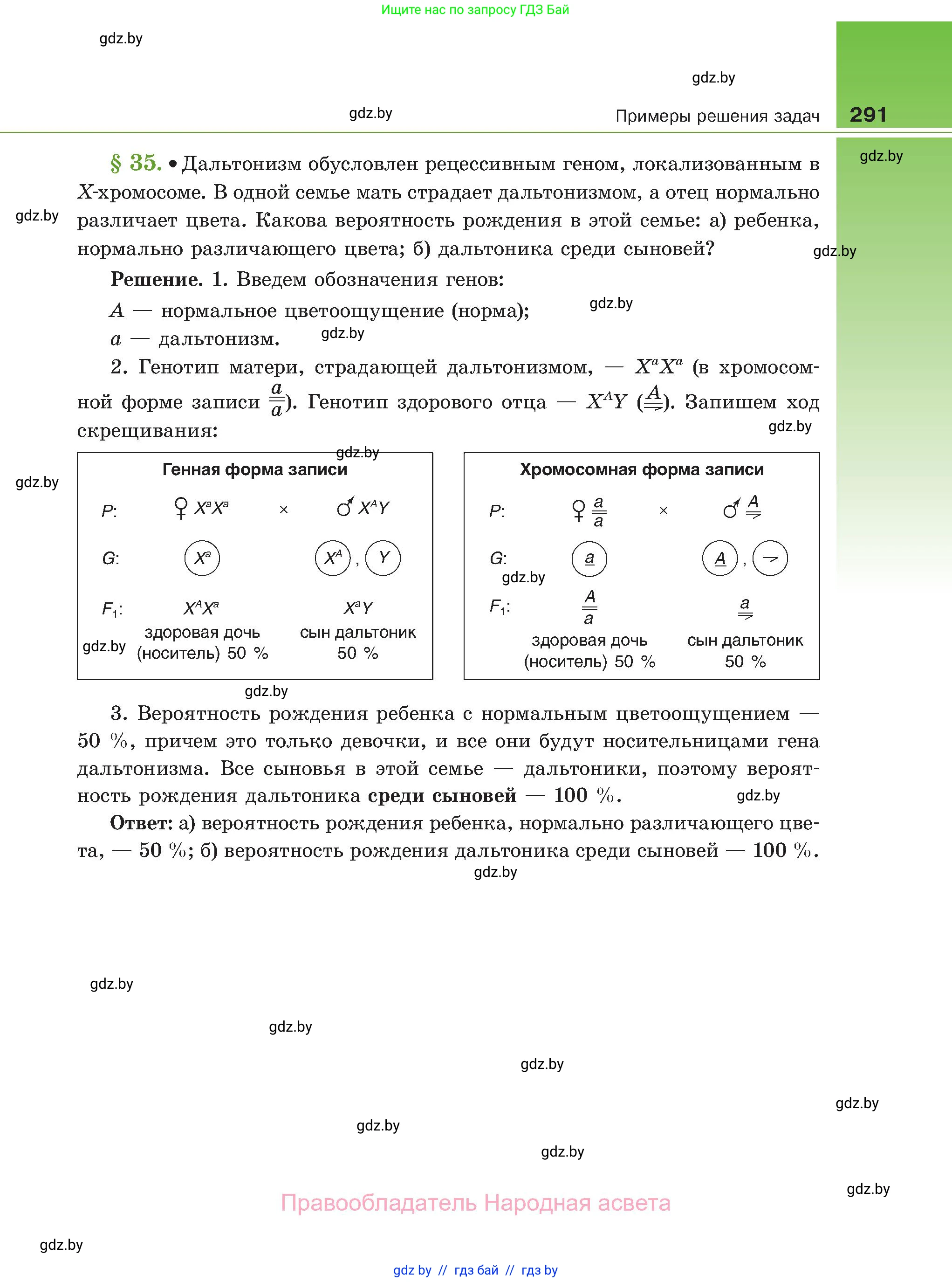 Биология, 11 класс Учебник, авторы: Дашков Максим Леонидович, Песнякевич Александр Георгиевич, Головач Алексей Михайлович, издательство Народная асвета, Минск, 2021, голубого цвета, страница 291