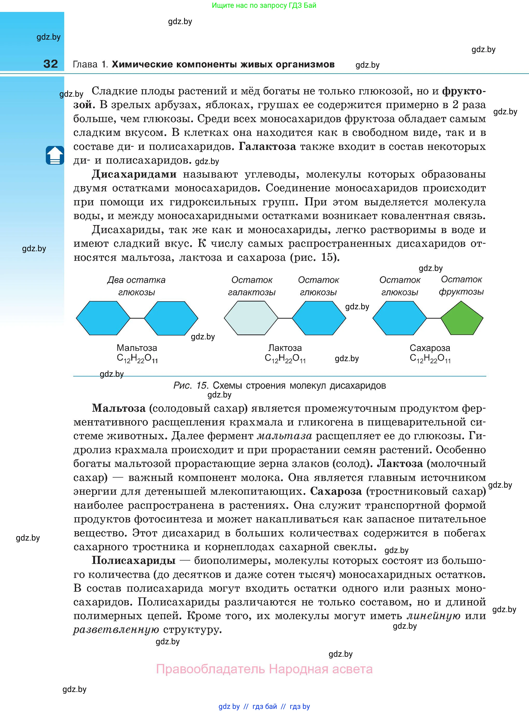 Биология, 11 класс Учебник, авторы: Дашков Максим Леонидович, Песнякевич Александр Георгиевич, Головач Алексей Михайлович, издательство Народная асвета, Минск, 2021, голубого цвета, страница 32