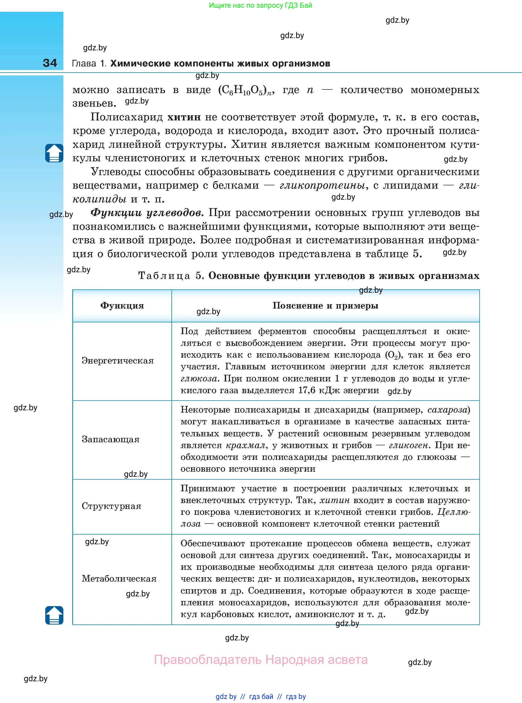 Биология, 11 класс Учебник, авторы: Дашков Максим Леонидович, Песнякевич Александр Георгиевич, Головач Алексей Михайлович, издательство Народная асвета, Минск, 2021, голубого цвета, страница 34