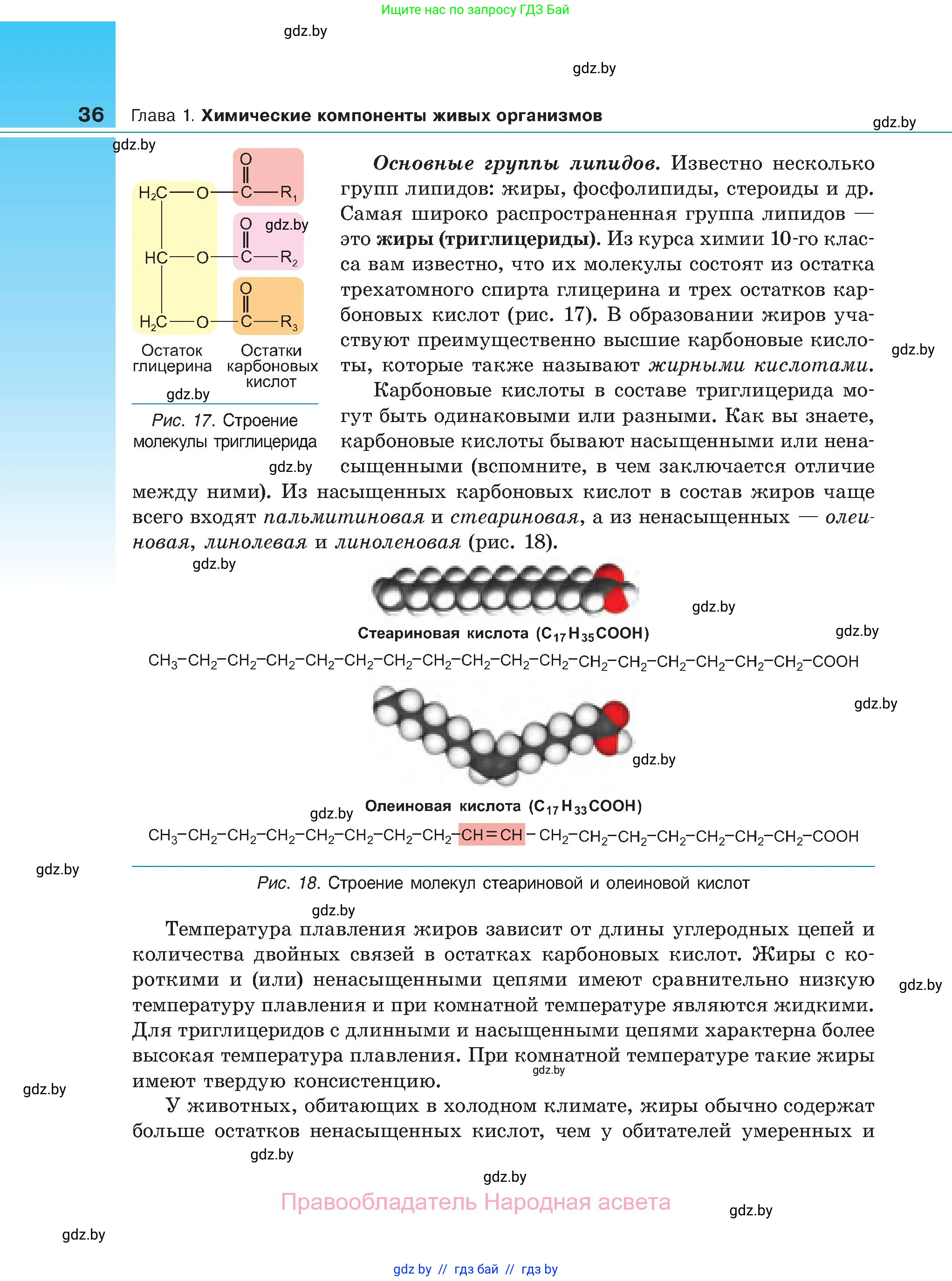 Биология, 11 класс Учебник, авторы: Дашков Максим Леонидович, Песнякевич Александр Георгиевич, Головач Алексей Михайлович, издательство Народная асвета, Минск, 2021, голубого цвета, страница 36