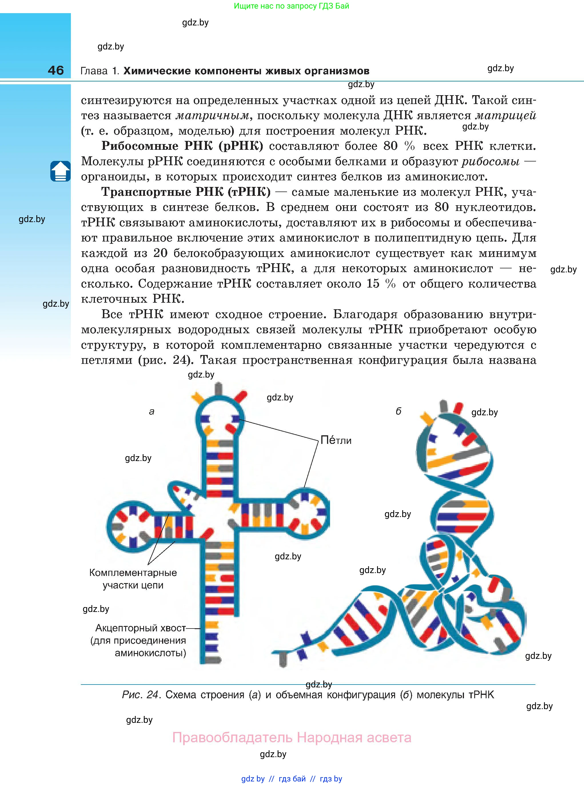 Биология, 11 класс Учебник, авторы: Дашков Максим Леонидович, Песнякевич Александр Георгиевич, Головач Алексей Михайлович, издательство Народная асвета, Минск, 2021, голубого цвета, страница 46