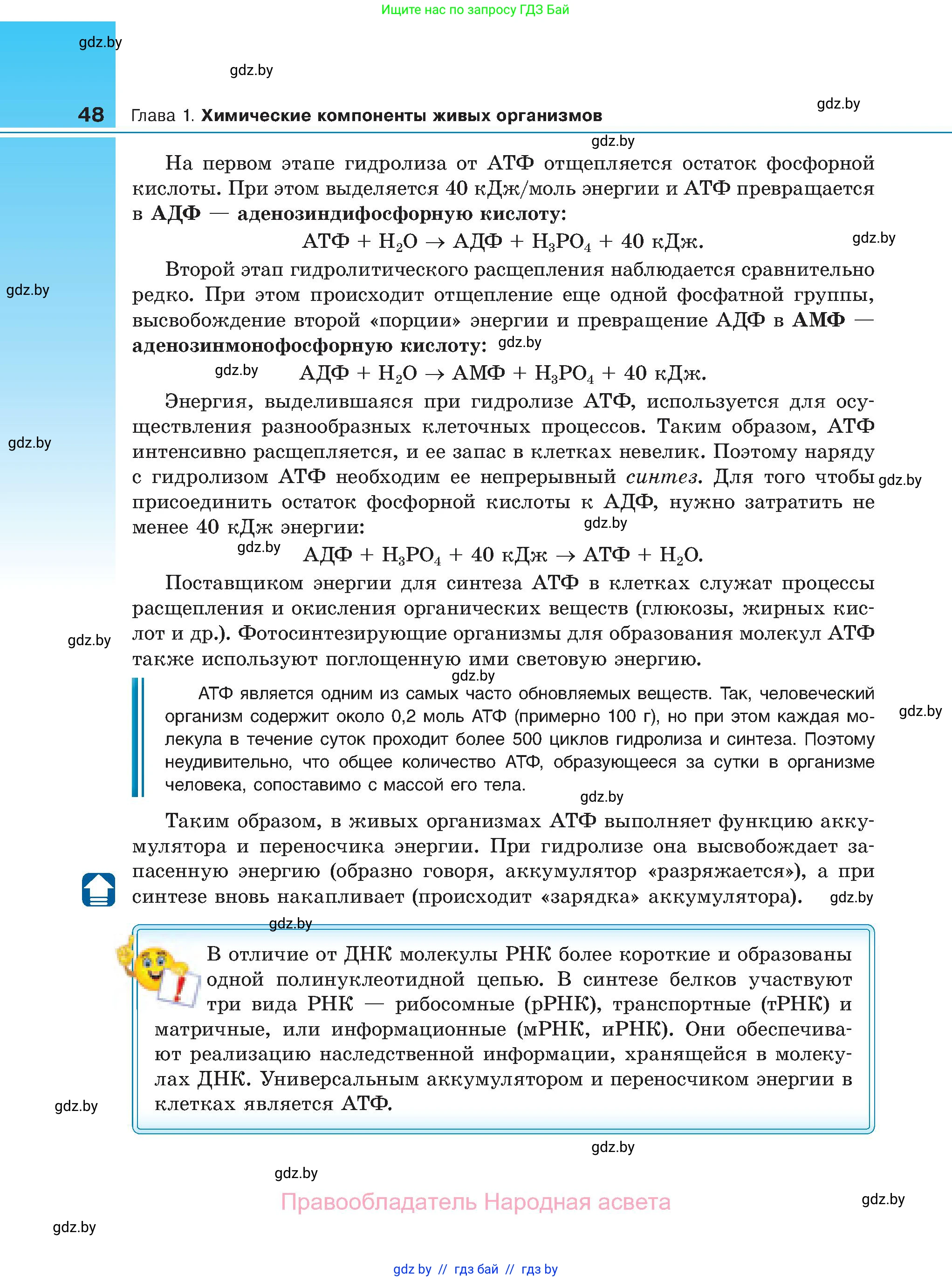 Биология, 11 класс Учебник, авторы: Дашков Максим Леонидович, Песнякевич Александр Георгиевич, Головач Алексей Михайлович, издательство Народная асвета, Минск, 2021, голубого цвета, страница 48