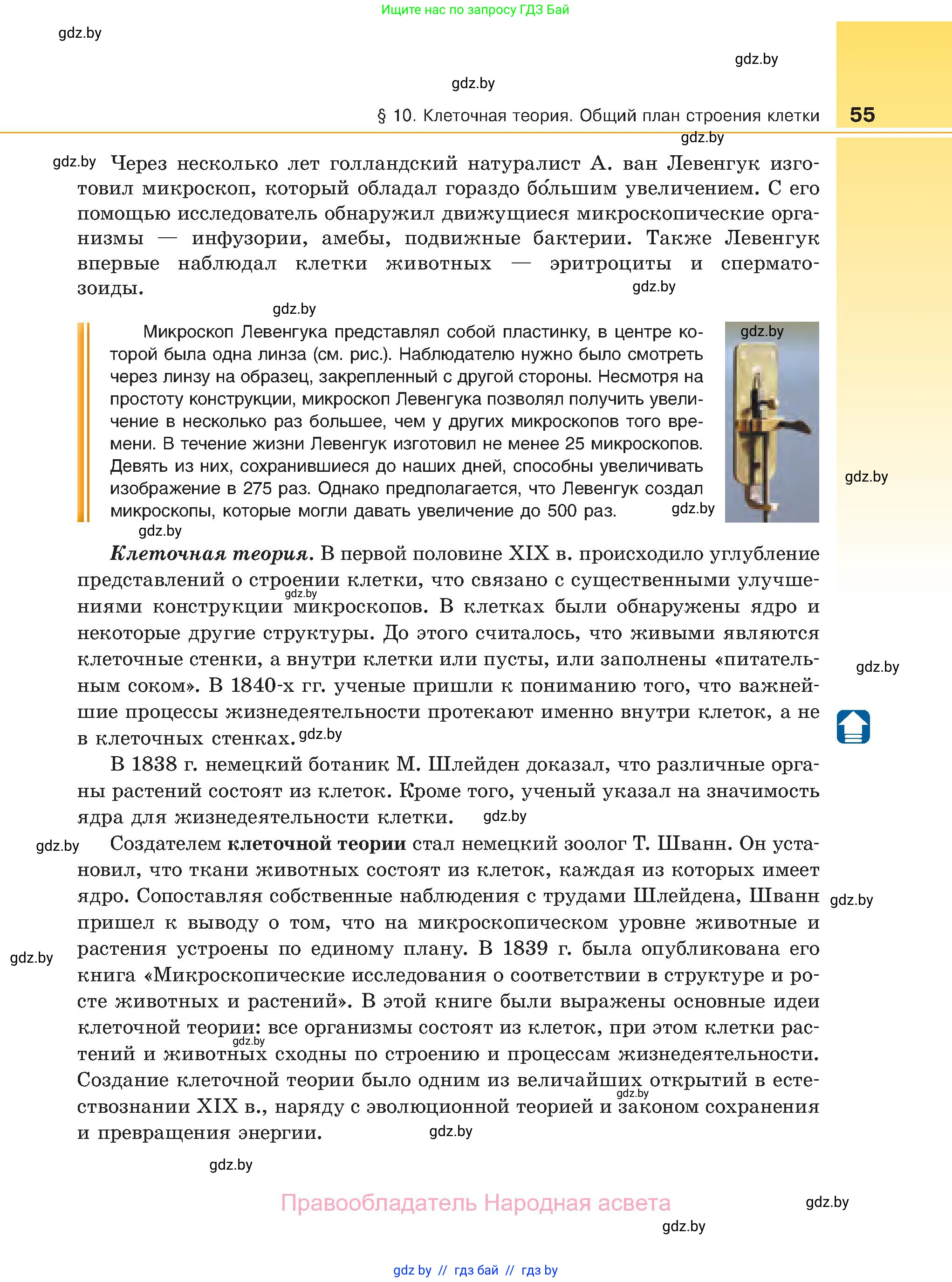 Биология, 11 класс Учебник, авторы: Дашков Максим Леонидович, Песнякевич Александр Георгиевич, Головач Алексей Михайлович, издательство Народная асвета, Минск, 2021, голубого цвета, страница 55
