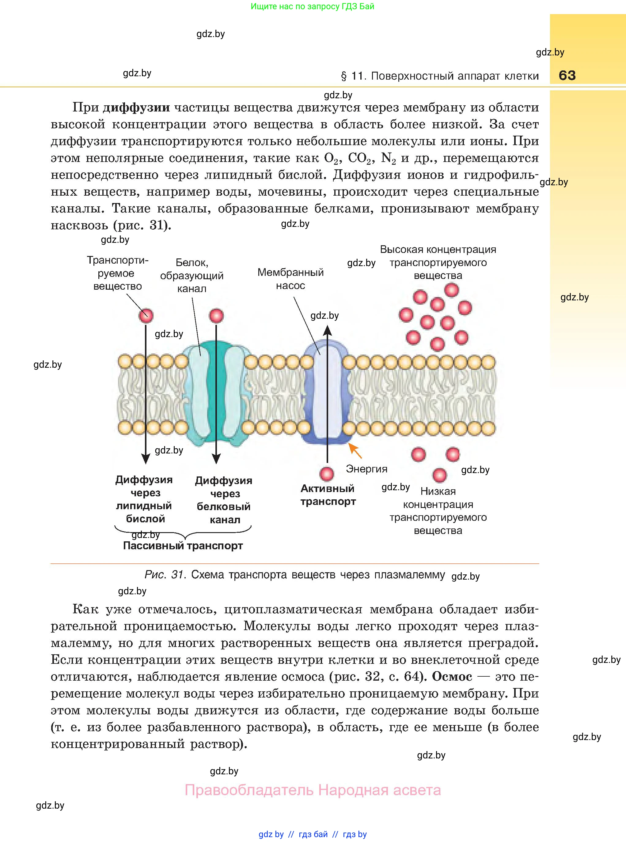 Биология, 11 класс Учебник, авторы: Дашков Максим Леонидович, Песнякевич Александр Георгиевич, Головач Алексей Михайлович, издательство Народная асвета, Минск, 2021, голубого цвета, страница 63