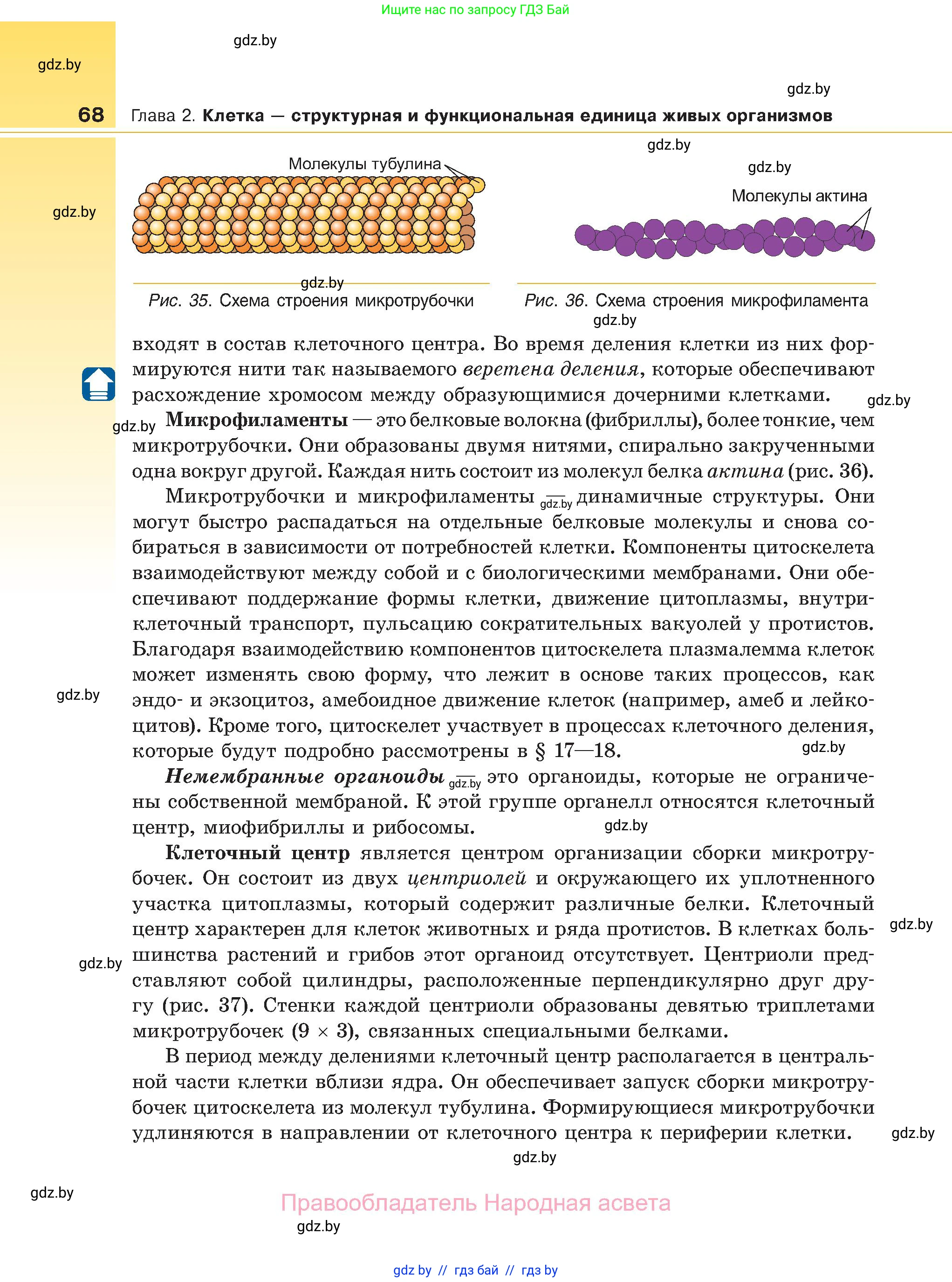 Биология, 11 класс Учебник, авторы: Дашков Максим Леонидович, Песнякевич Александр Георгиевич, Головач Алексей Михайлович, издательство Народная асвета, Минск, 2021, голубого цвета, страница 68