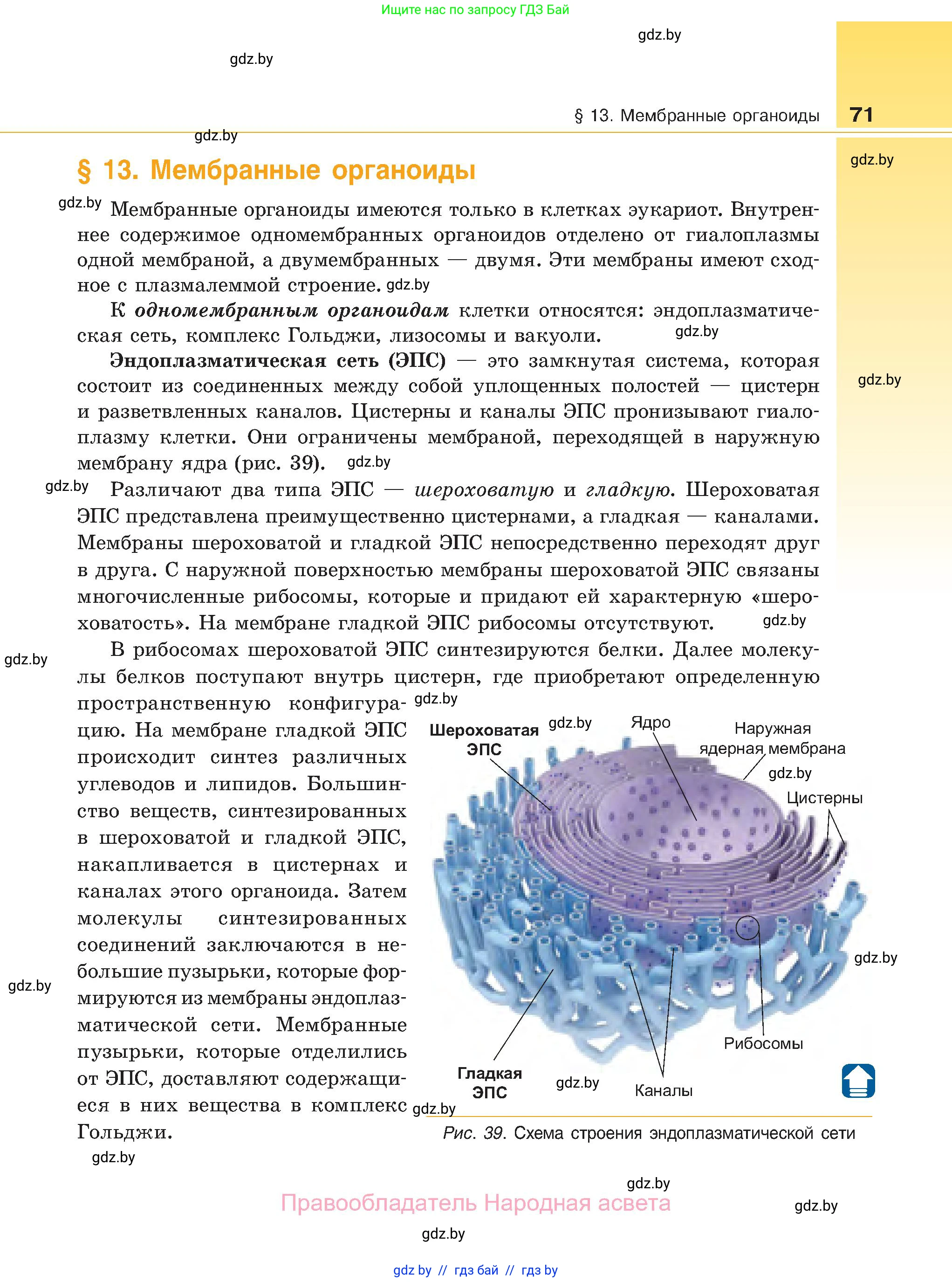 Биология, 11 класс Учебник, авторы: Дашков Максим Леонидович, Песнякевич Александр Георгиевич, Головач Алексей Михайлович, издательство Народная асвета, Минск, 2021, голубого цвета, страница 71