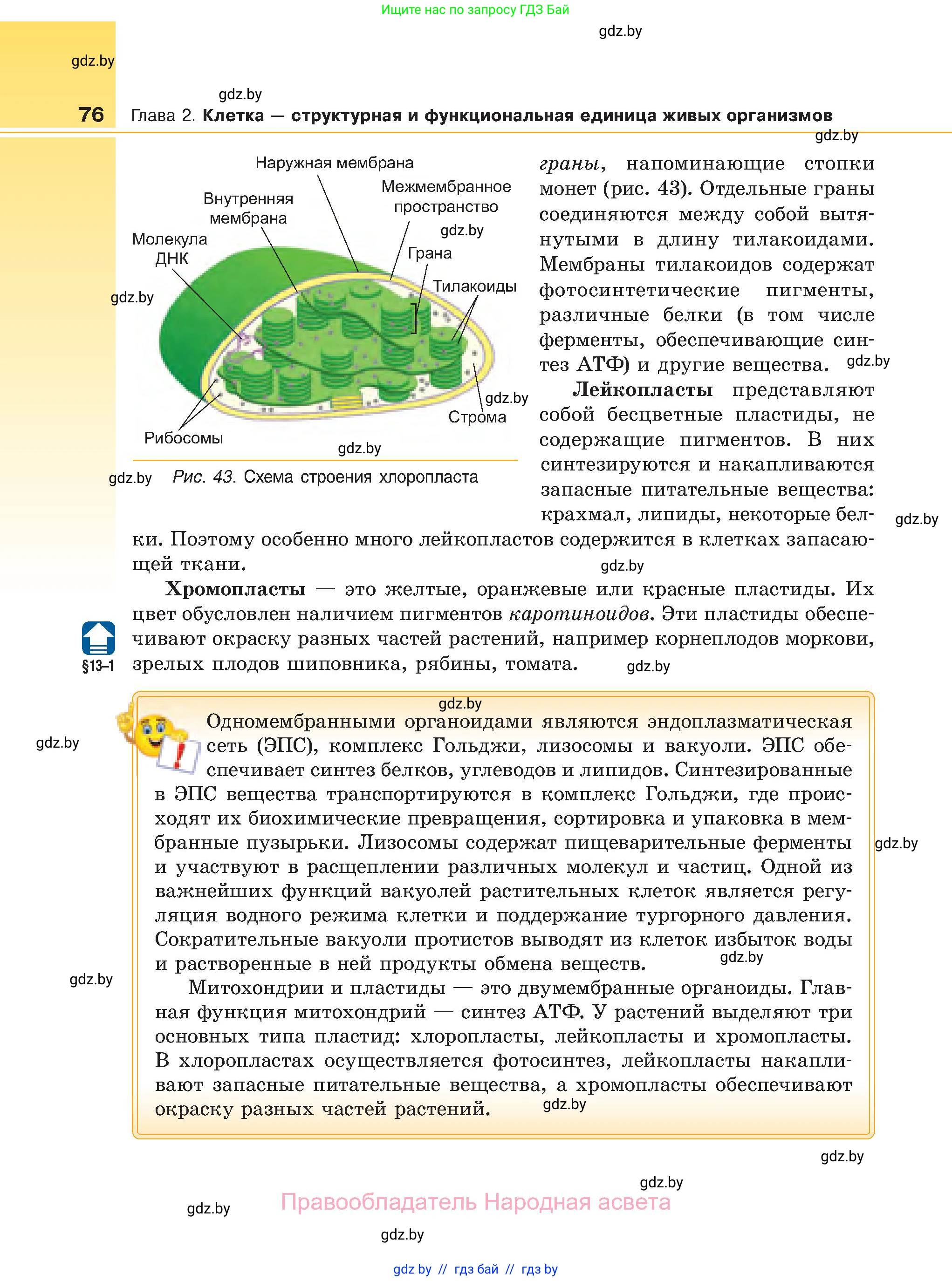 Биология, 11 класс Учебник, авторы: Дашков Максим Леонидович, Песнякевич Александр Георгиевич, Головач Алексей Михайлович, издательство Народная асвета, Минск, 2021, голубого цвета, страница 76