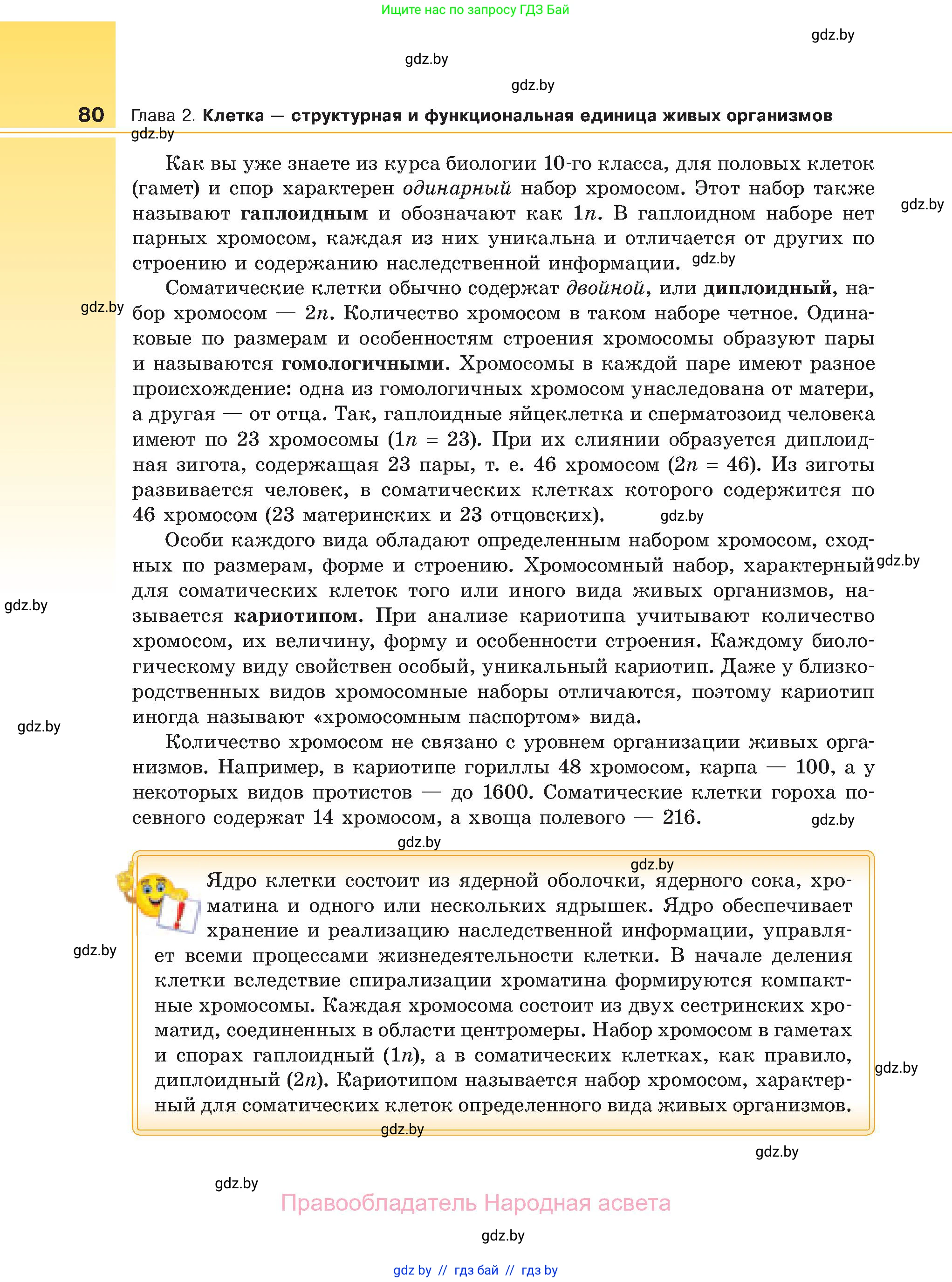 Биология, 11 класс Учебник, авторы: Дашков Максим Леонидович, Песнякевич Александр Георгиевич, Головач Алексей Михайлович, издательство Народная асвета, Минск, 2021, голубого цвета, страница 80