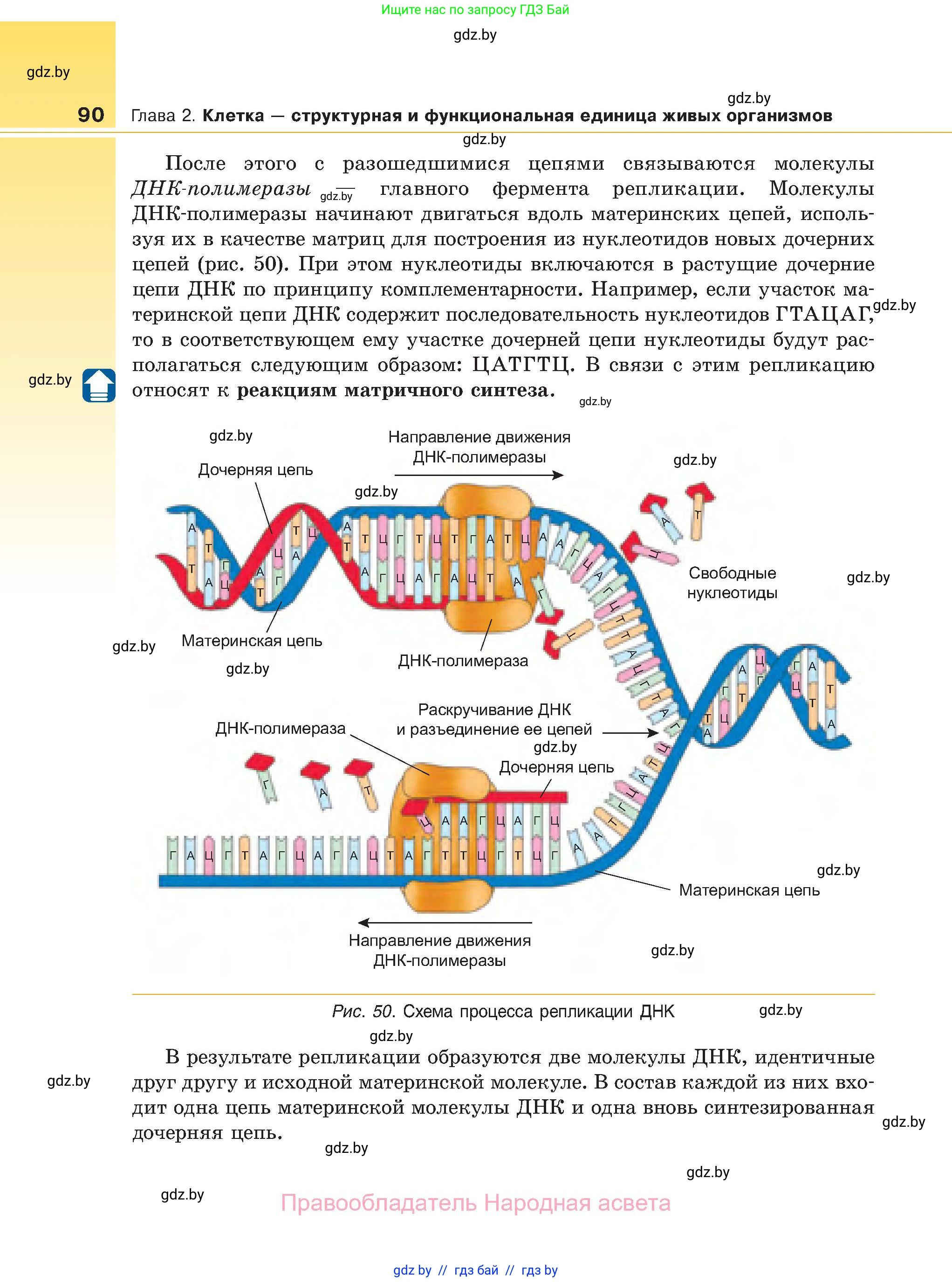 Биология, 11 класс Учебник, авторы: Дашков Максим Леонидович, Песнякевич Александр Георгиевич, Головач Алексей Михайлович, издательство Народная асвета, Минск, 2021, голубого цвета, страница 90