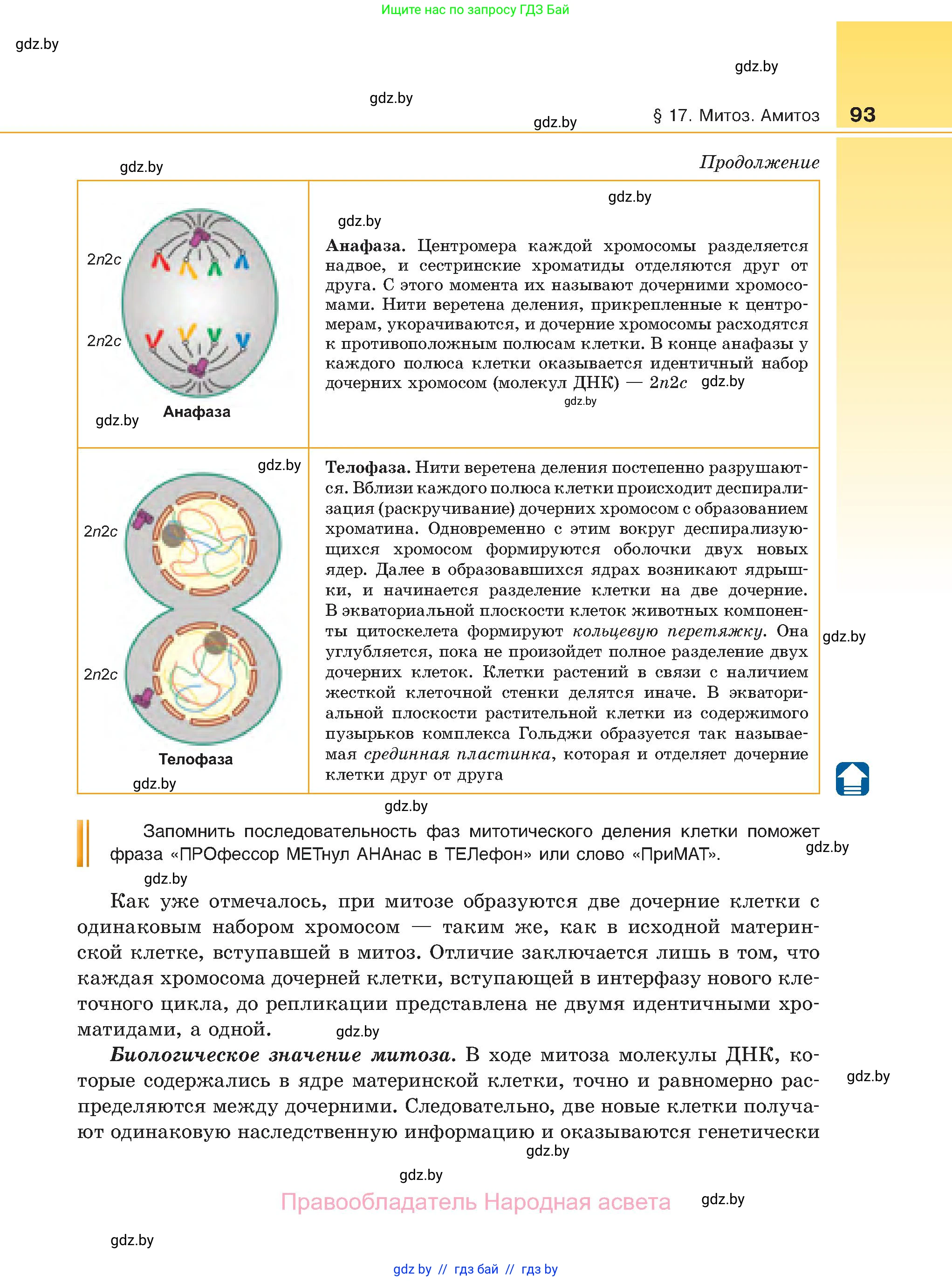 Биология, 11 класс Учебник, авторы: Дашков Максим Леонидович, Песнякевич Александр Георгиевич, Головач Алексей Михайлович, издательство Народная асвета, Минск, 2021, голубого цвета, страница 93