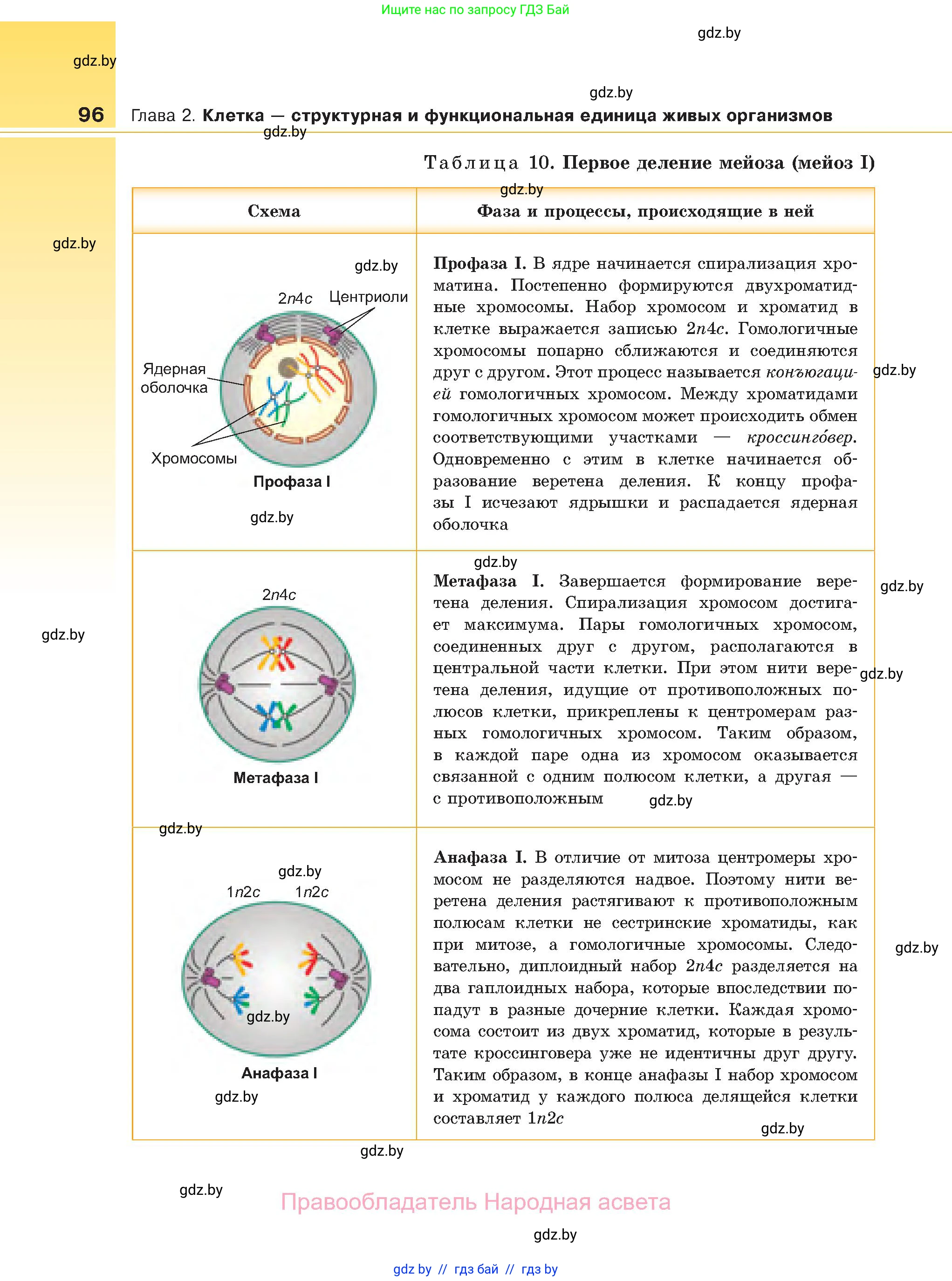 Биология, 11 класс Учебник, авторы: Дашков Максим Леонидович, Песнякевич Александр Георгиевич, Головач Алексей Михайлович, издательство Народная асвета, Минск, 2021, голубого цвета, страница 96