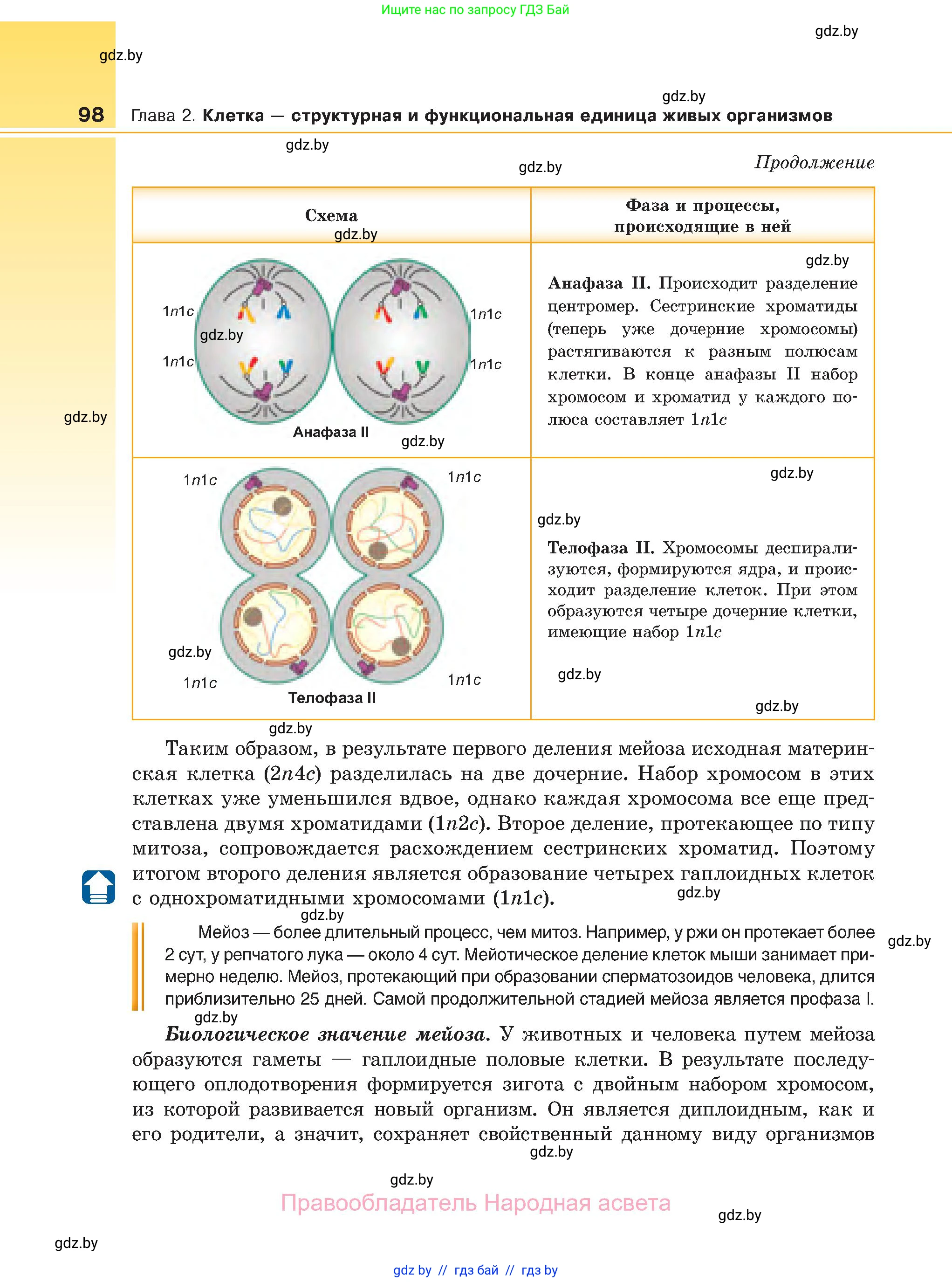 Биология, 11 класс Учебник, авторы: Дашков Максим Леонидович, Песнякевич Александр Георгиевич, Головач Алексей Михайлович, издательство Народная асвета, Минск, 2021, голубого цвета, страница 98