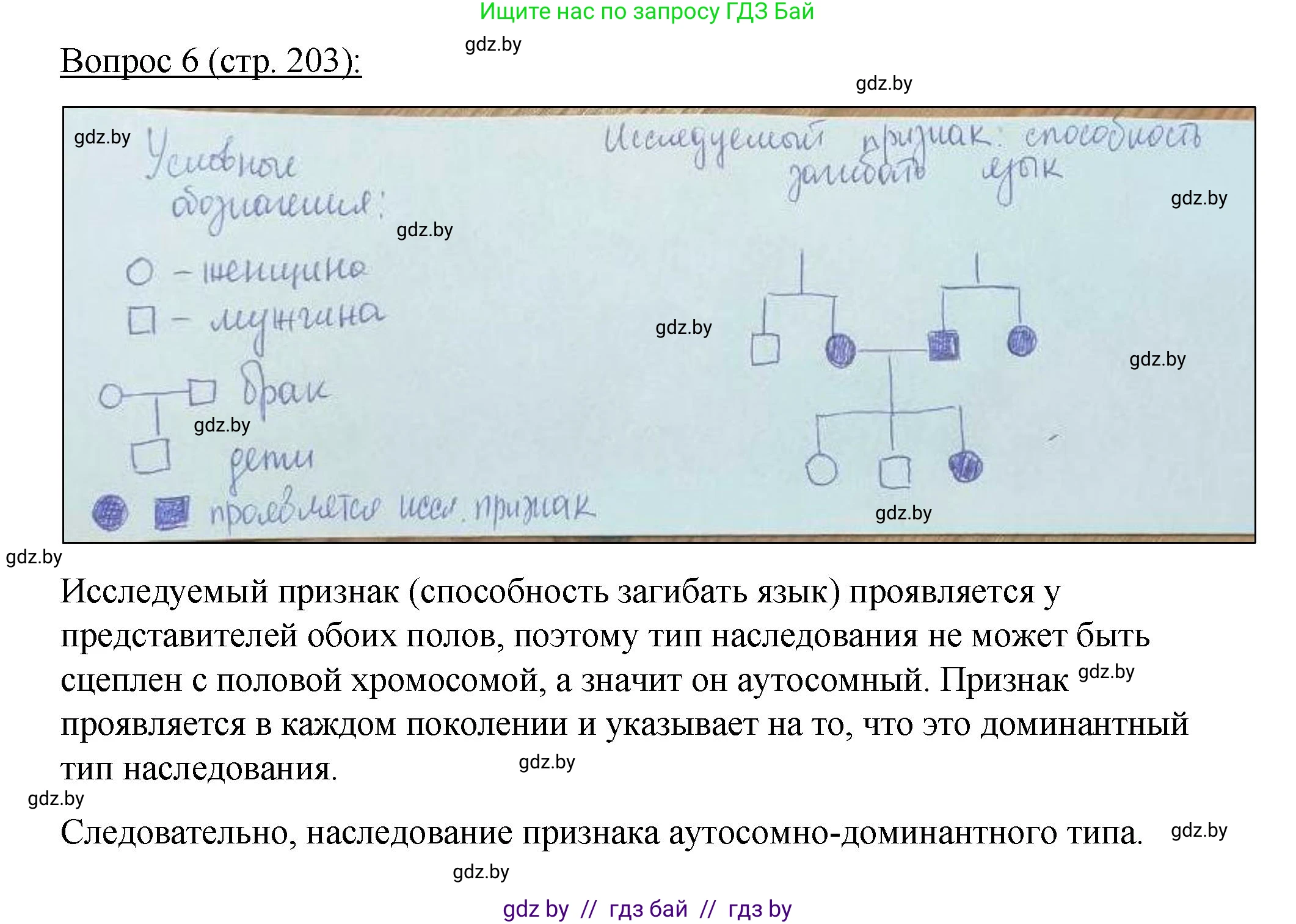 Биология, 11 класс Учебник, авторы: Дашков Максим Леонидович, Песнякевич Александр Георгиевич, Головач Алексей Михайлович, издательство Народная асвета, Минск, 2021, голубого цвета, страница 203, номер 6, Решение