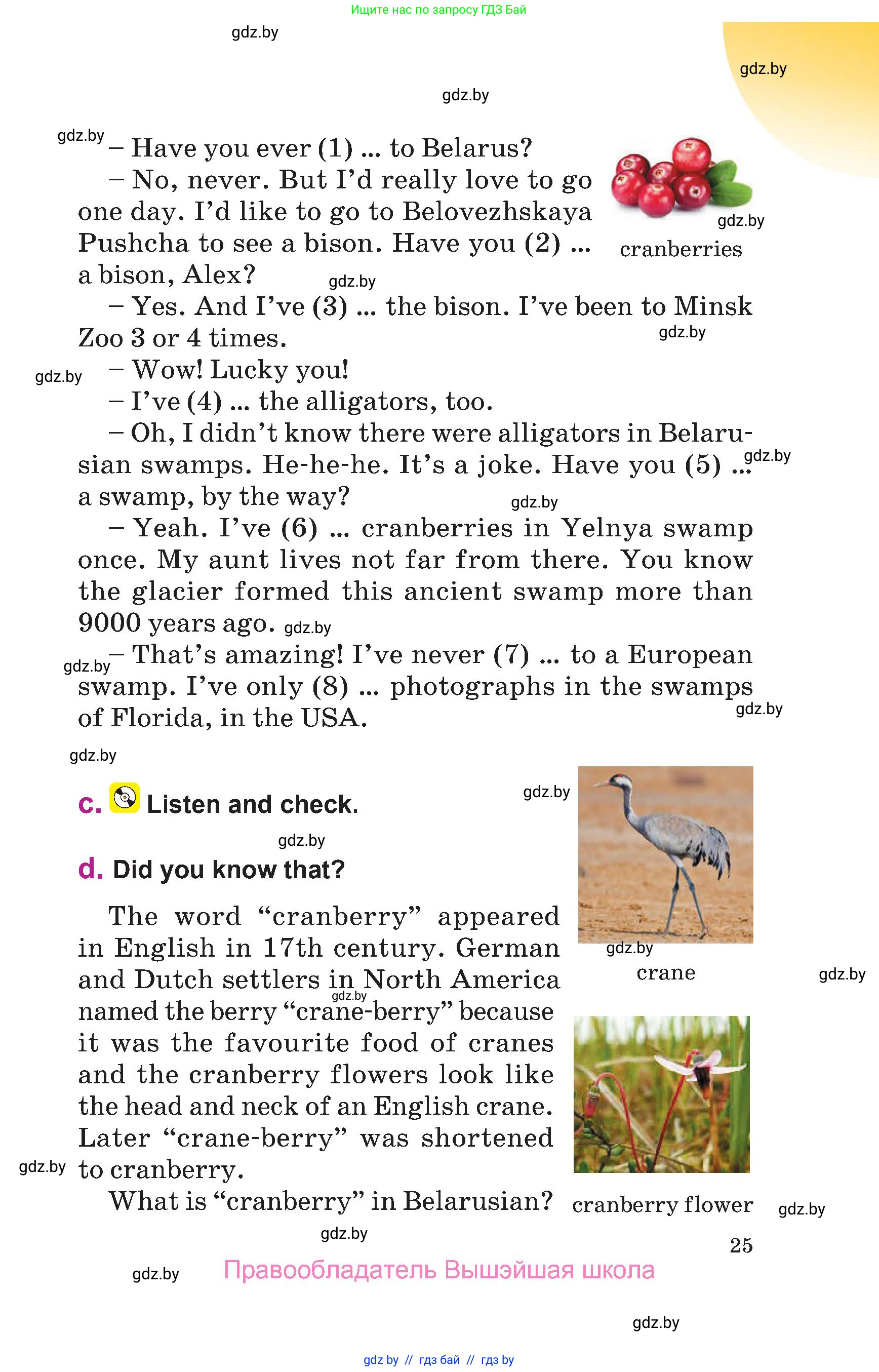 Английский язык (english), 6 класс Учебник, авторы: Демченко Наталья Валентиновна, Севрюкова Татьяна Юрьевна, Юхнель Наталья Валентиновна, Наумова Елена Георгиевна, Рыбалко О Н, Манешина А В, Маслёнченко Н А, издательство Вышэйшая школа, Минск, 2018, красного цвета, страница 25