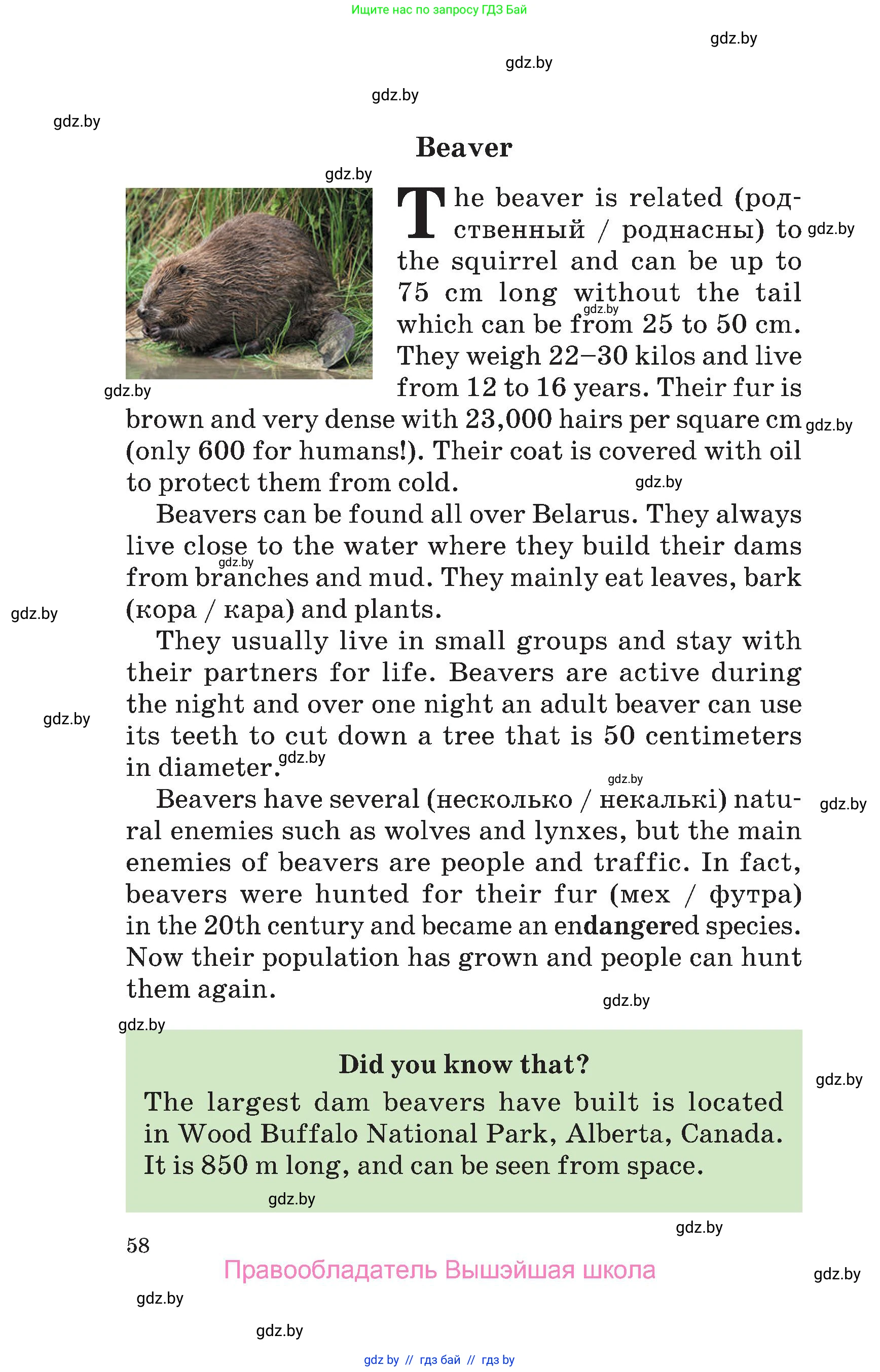 Английский язык (english), 6 класс Учебник, авторы: Демченко Наталья Валентиновна, Севрюкова Татьяна Юрьевна, Юхнель Наталья Валентиновна, Наумова Елена Георгиевна, Рыбалко О Н, Манешина А В, Маслёнченко Н А, издательство Вышэйшая школа, Минск, 2018, красного цвета, страница 58