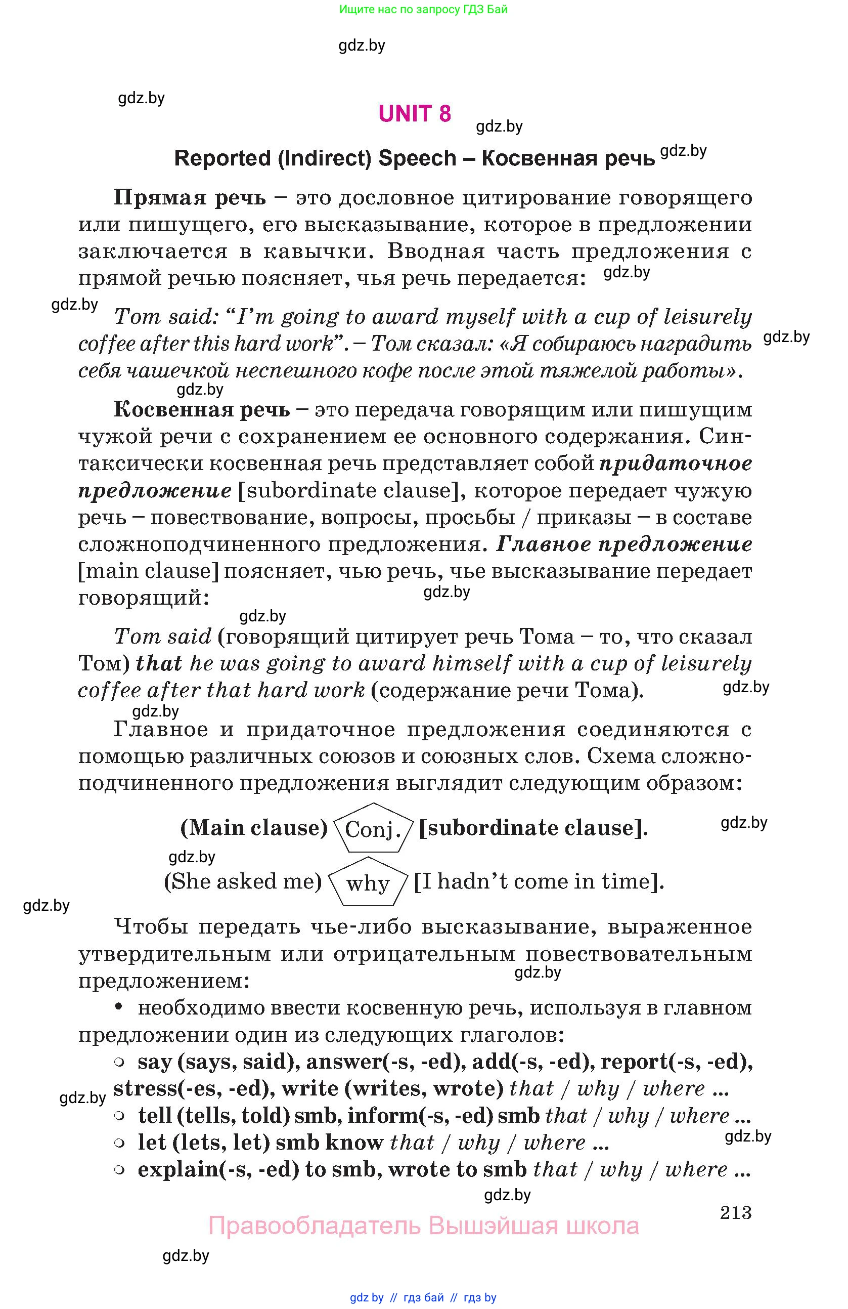 Английский язык (english), 10 класс Учебник (Student's book), авторы: Демченко Наталья Валентиновна, Юхнель Наталья Валентиновна, Севрюкова Татьяна Юрьевна, Бушуева Эдите Владиславовна, Лапицкая Людмила Михайловна (Lapitskaya Ludmila), издательство Вышэйшая школа, Минск, 2021, голубого цвета, страница 213