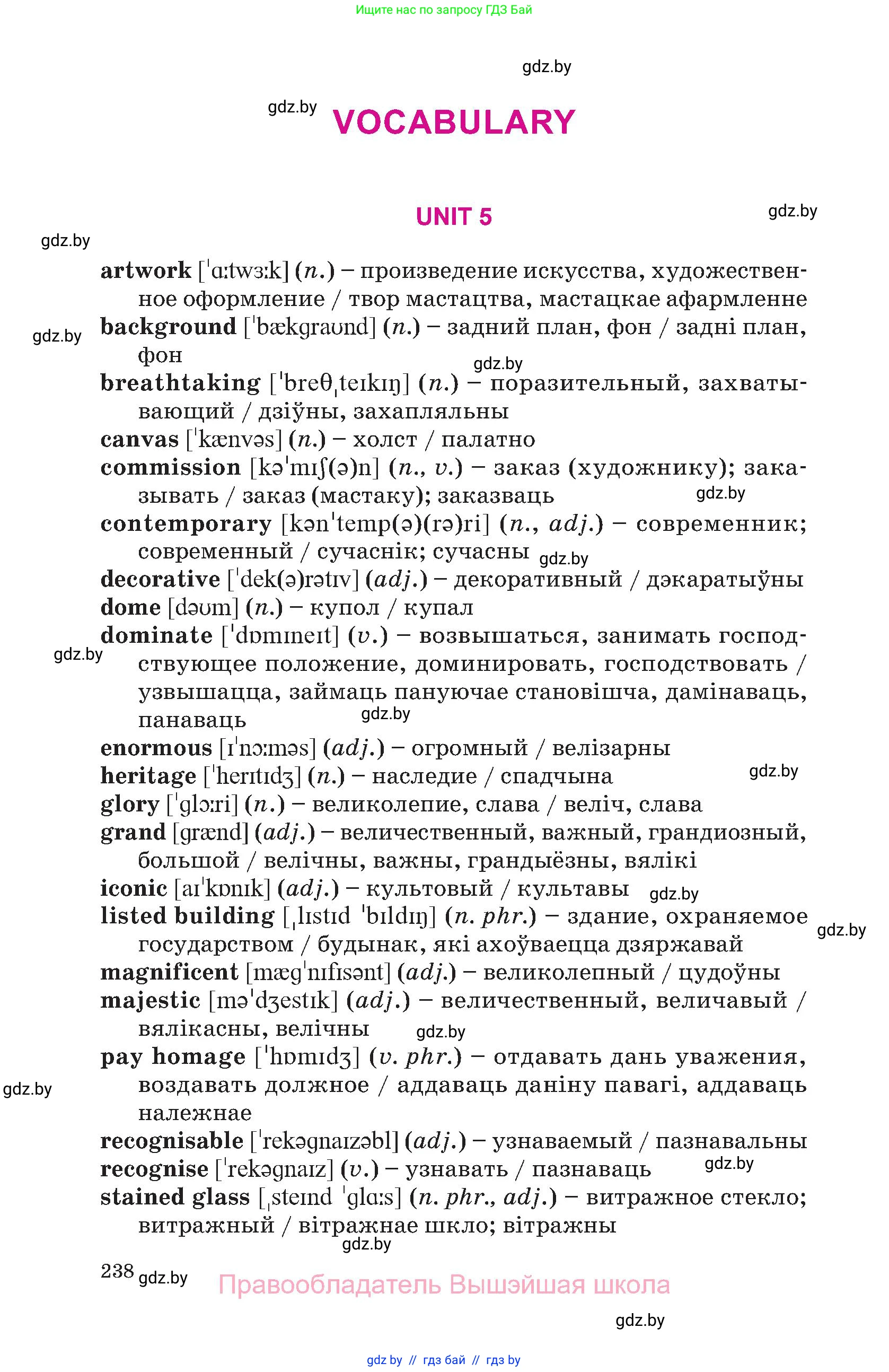 Английский язык (english), 10 класс Учебник (Student's book), авторы: Демченко Наталья Валентиновна, Юхнель Наталья Валентиновна, Севрюкова Татьяна Юрьевна, Бушуева Эдите Владиславовна, Лапицкая Людмила Михайловна (Lapitskaya Ludmila), издательство Вышэйшая школа, Минск, 2021, голубого цвета, страница 238