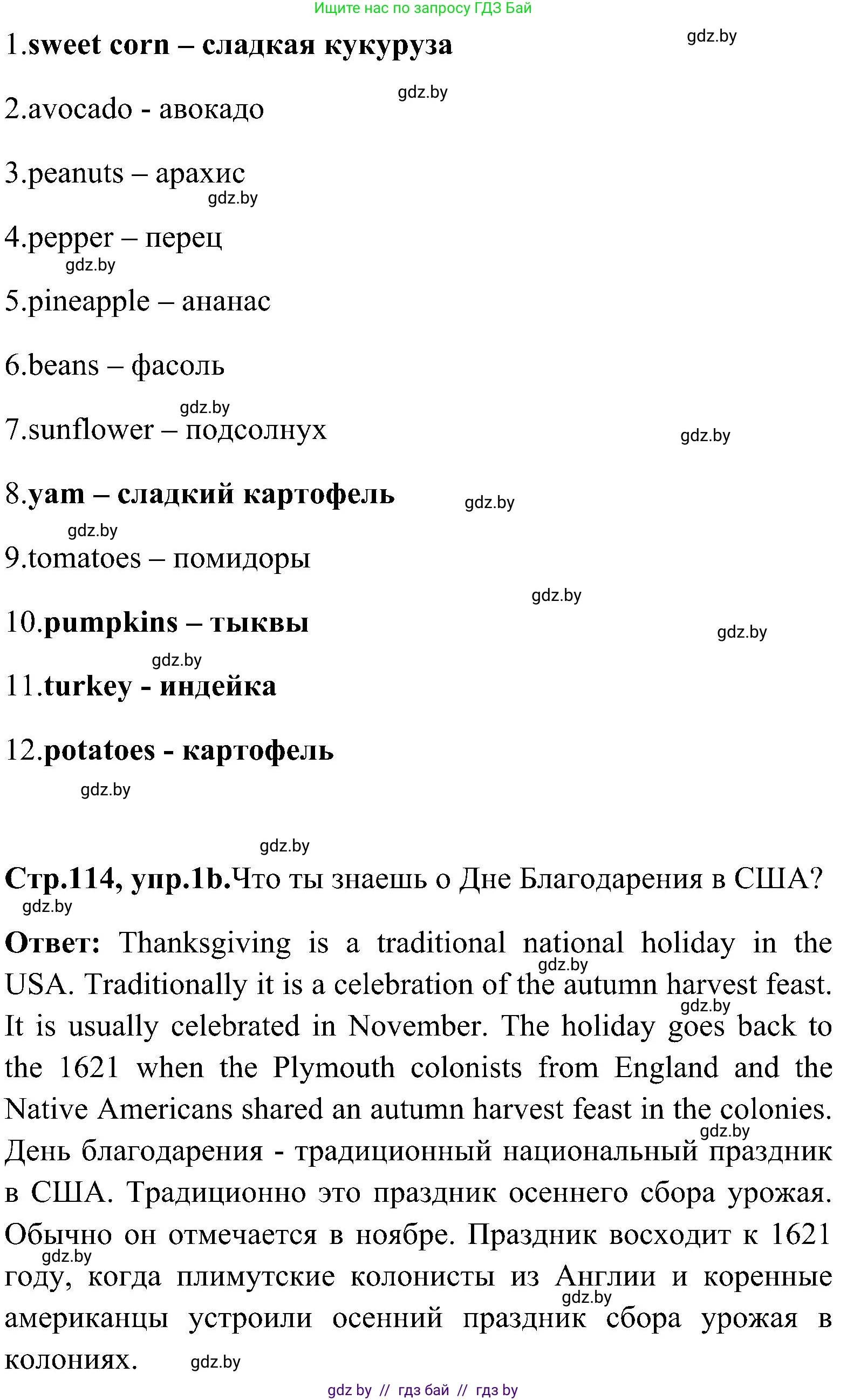 Английский язык (english), 10 класс Учебник (Student's book), авторы: Демченко Наталья Валентиновна, Юхнель Наталья Валентиновна, Севрюкова Татьяна Юрьевна, Бушуева Эдите Владиславовна, Лапицкая Людмила Михайловна (Lapitskaya Ludmila), издательство Вышэйшая школа, Минск, 2021, голубого цвета, Часть ( Part) 1, страница 114, номер 1, Решение (продолжение 2)