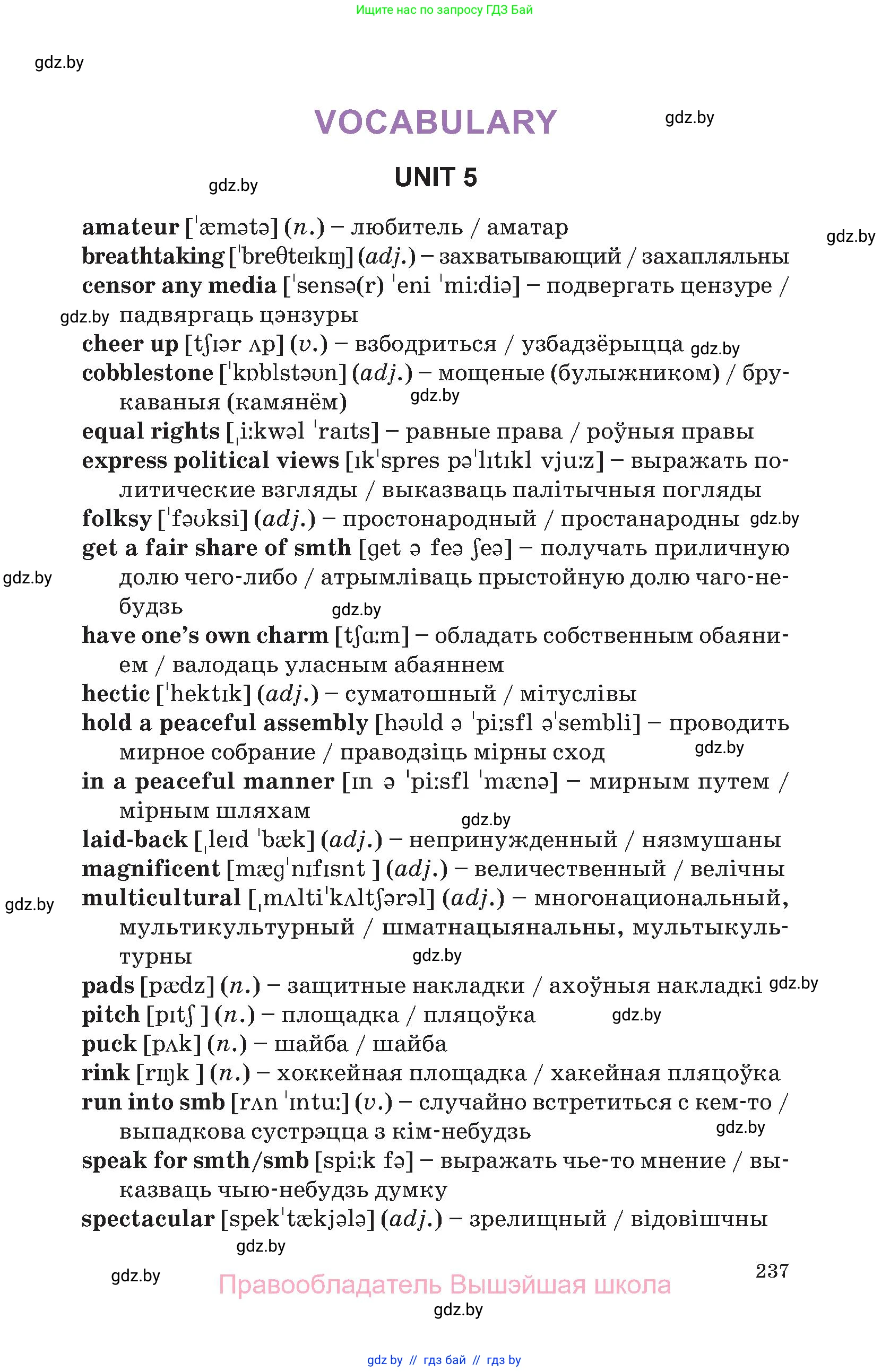 Английский язык (english), 11 класс Учебник (Student's book), авторы: Демченко Наталья Валентиновна, Бушуева Эдите Владиславовна, Севрюкова Татьяна Юрьевна, Лапицкая Людмила Михайловна (Lapitskaya Ludmila), Романчук Вероника Романовна, издательство Вышэйшая школа, Минск, 2022, розового цвета, страница 237