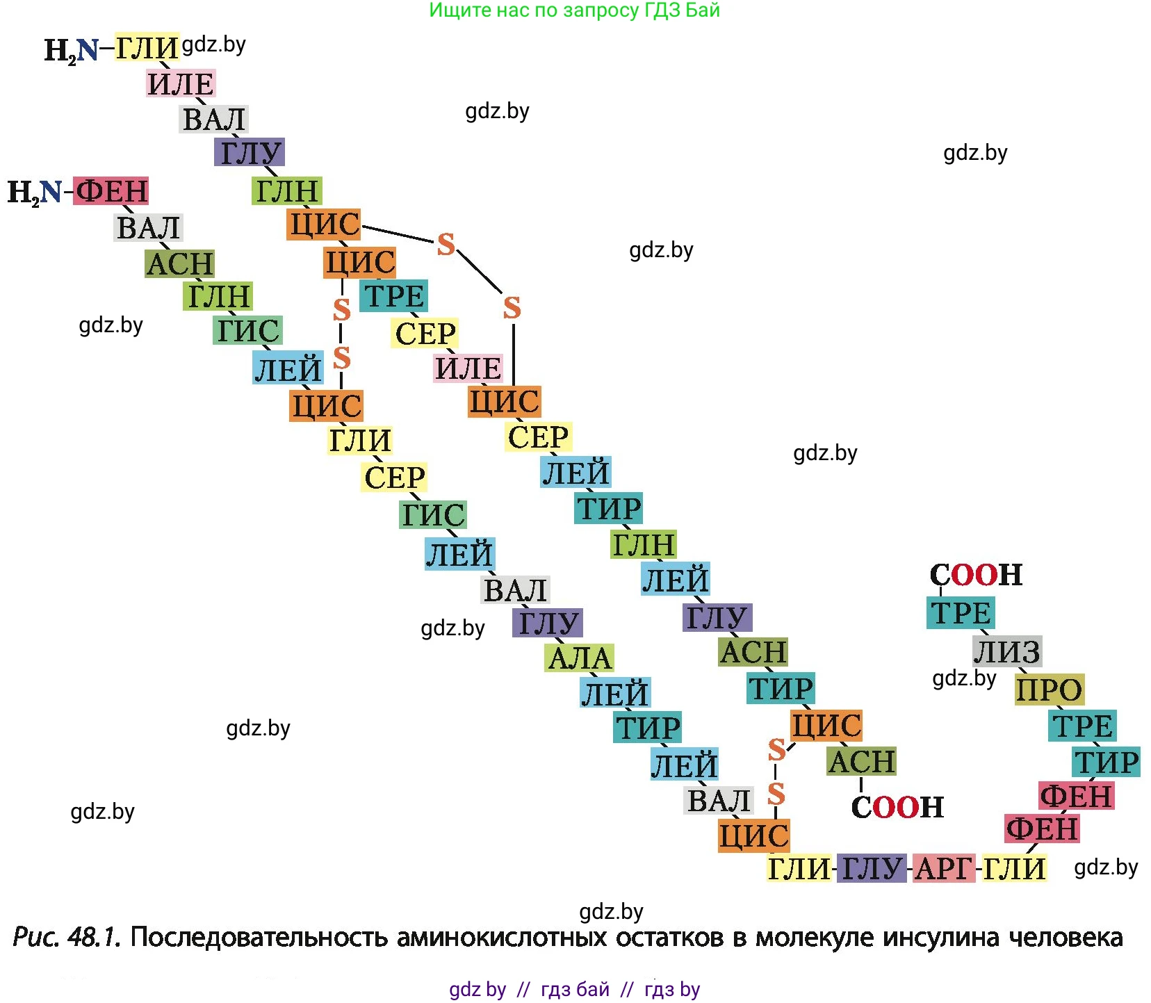 Химия, 10 класс Учебник, авторы: Колевич Татьяна Александровна, Матулис Вадим Эдвардович, Матулис Виталий Эдвардович, Варакса Игорь Николаевич, издательство Адукацыя i выхаванне, Минск, 2019, страница 272, номер 5, Условие (продолжение 2)