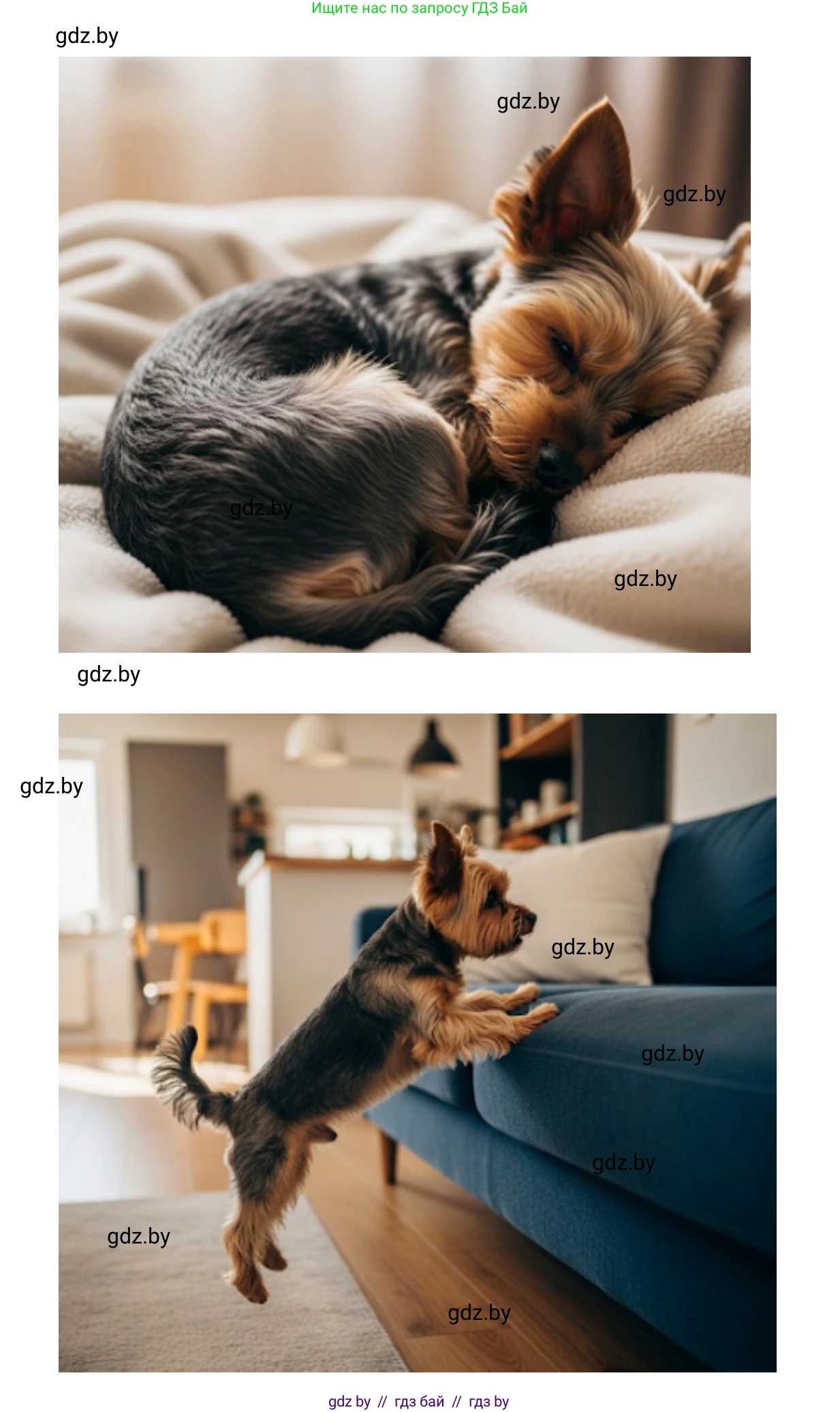 Искусство, 5 класс Учебник, авторы: Колбышева Светлана Ивановна, Захарина Юлия Юрьевна, Грачёва Ольга Олеговна, Гракова В В, Волк М А, издательство Адукацыя i выхаванне, Минск, 2022, страница 108, Решение (продолжение 2)