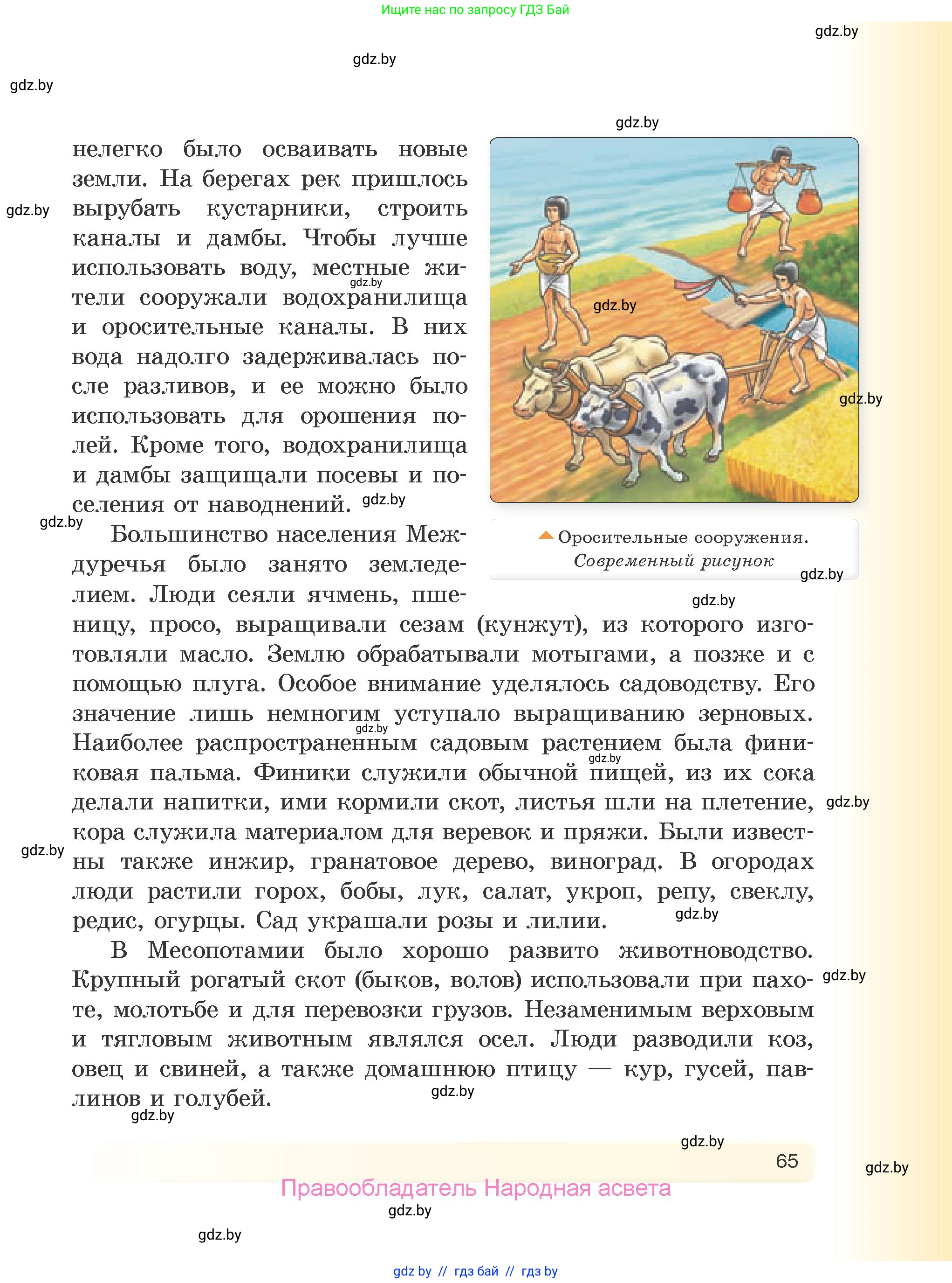 История Древнего мира, 5 класс Учебник, авторы: Кошелев Владимир Сергеевич, Прохоров Андрей Аркадьевич, Перзашкевич Олег Валерьевич, Журавлевич Ольга Георгиевна, издательство Народная асвета, Минск, 2019, коричневого цвета, страница 65