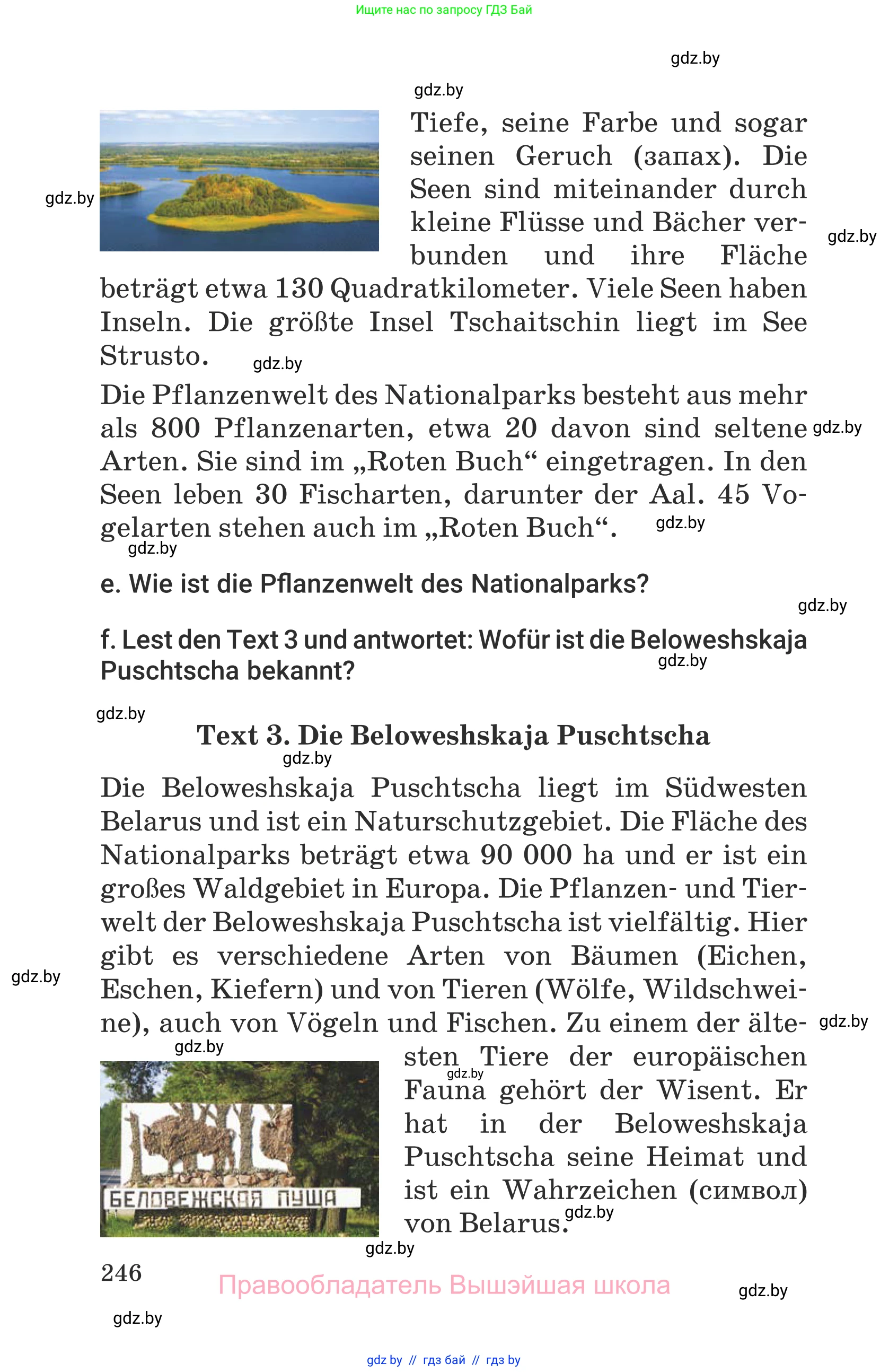 Немецкий язык (Deutsch), 6 класс Учебник (Schülerbuch), авторы: Будько Антонина Филипповна (Budjko Antonina), Урбанович Инна Ювинальевна (Urbanowitsch Ina), издательство Вышэйшая школа, Минск, 2020, бежевого цвета, страница 246